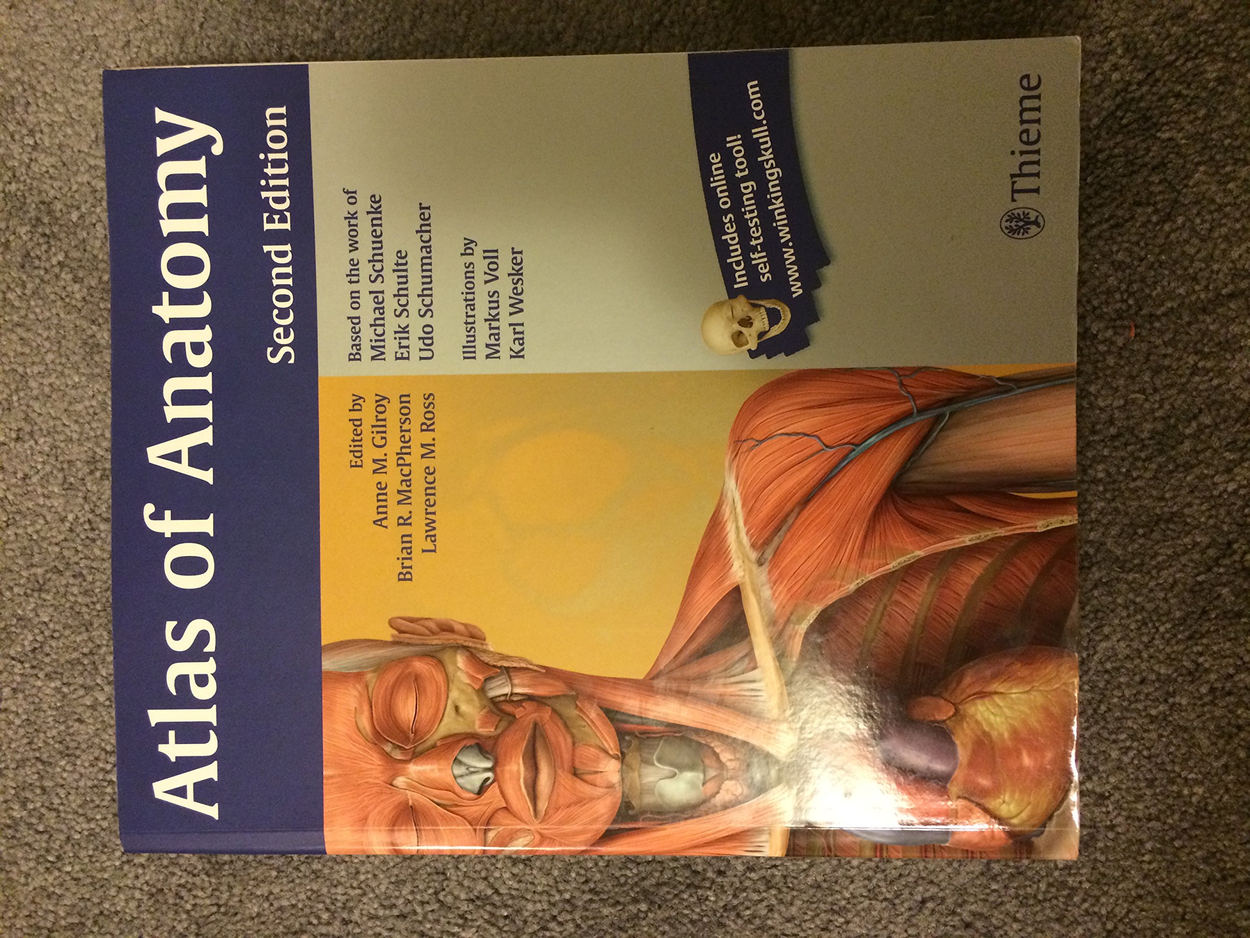 Atlas Of Anatomy Gilroy