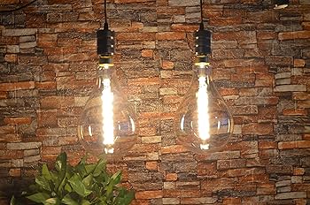 オルゴール　EDISON ヴィンテージ SD LUX Oversized Vintage LED Light Bulbs 8W, Medium Base E26
