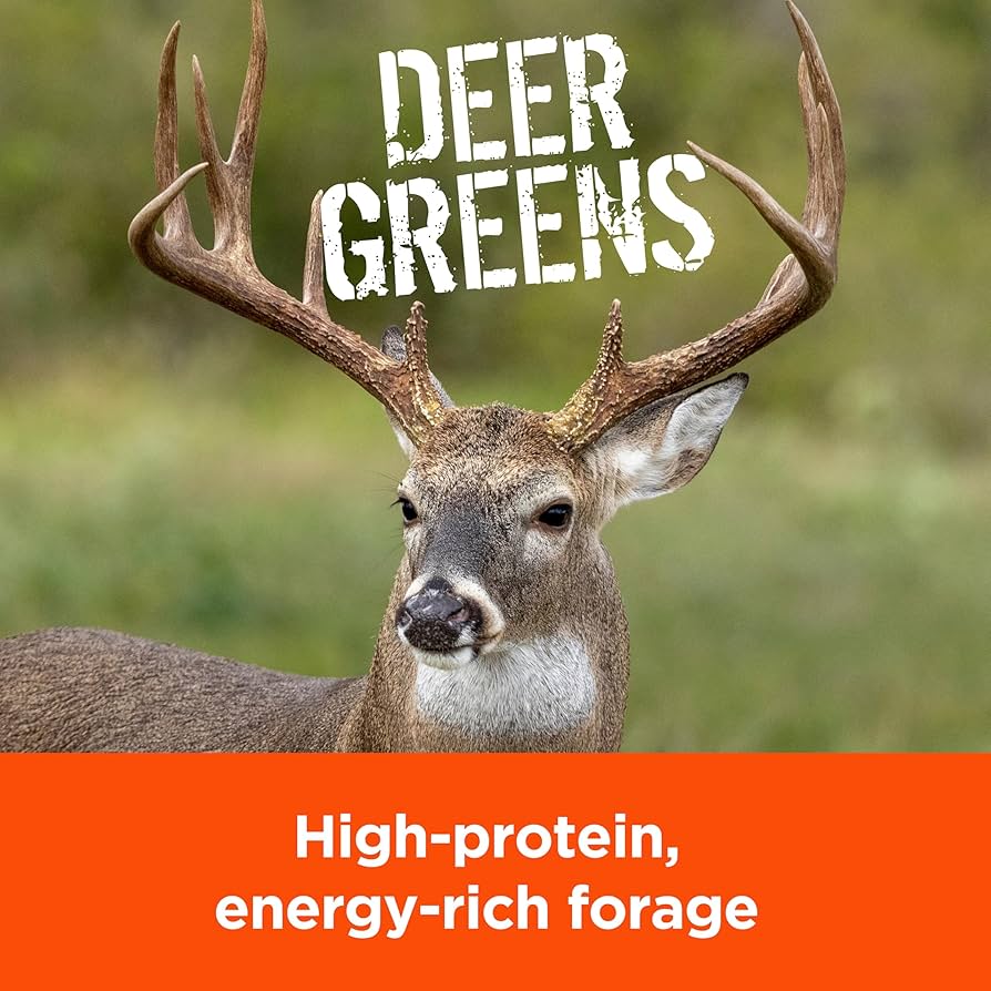 The Difference In Food Plot Seed Blends | Hunting Retailer - Foto 13