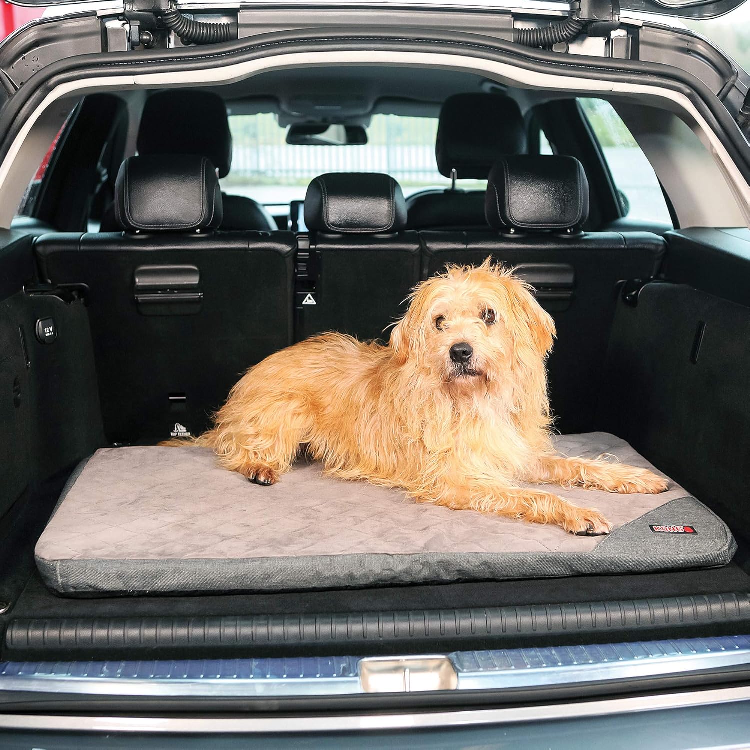 KONG Fold-Up Dog Travel Mat - Comfortable Pet Travel Bed Ideal for Long Car Rides