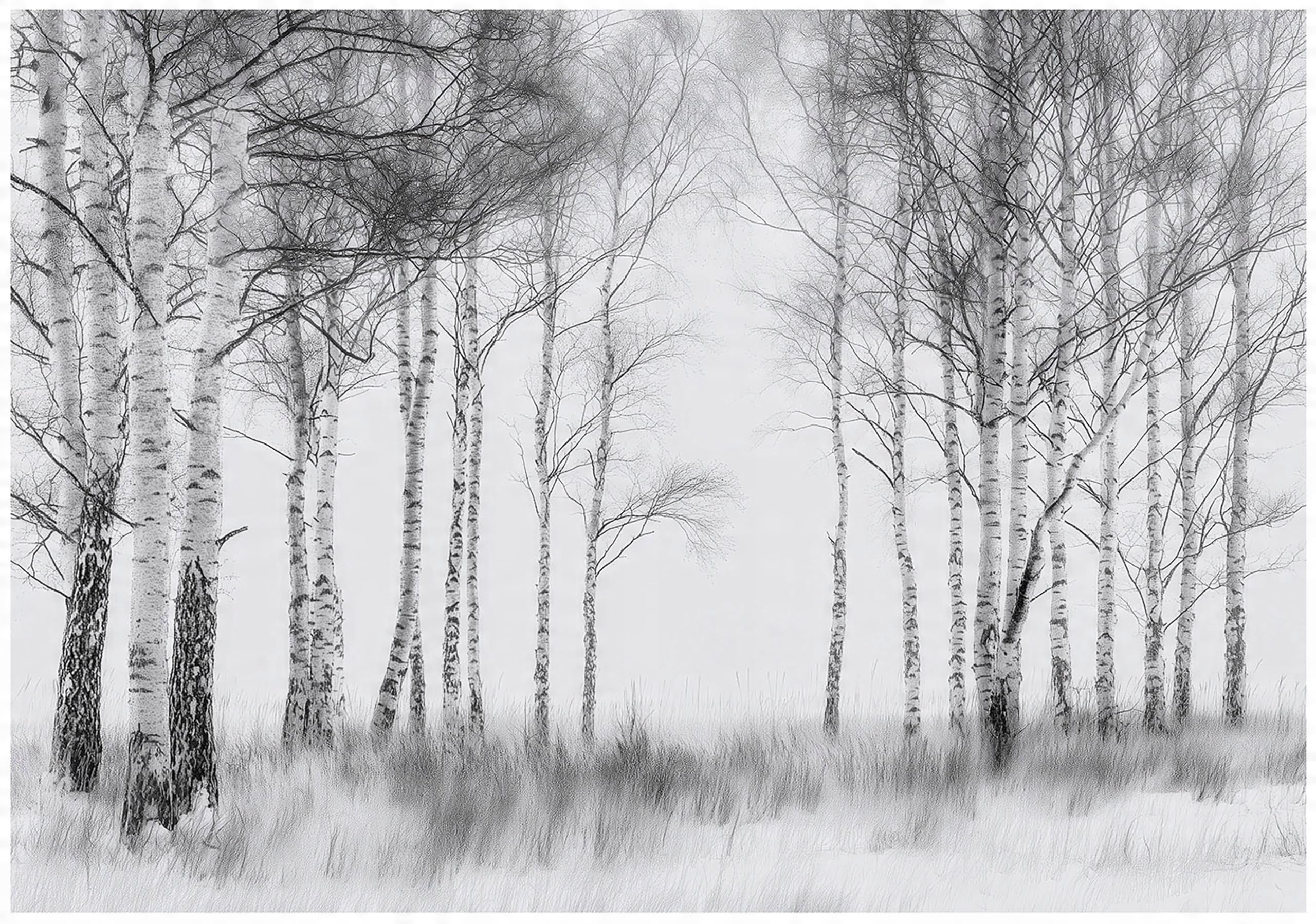 WallArena Wall Mural Photo Wallpaper for Living Room & Bedroom 400 x 280 cm — image 1