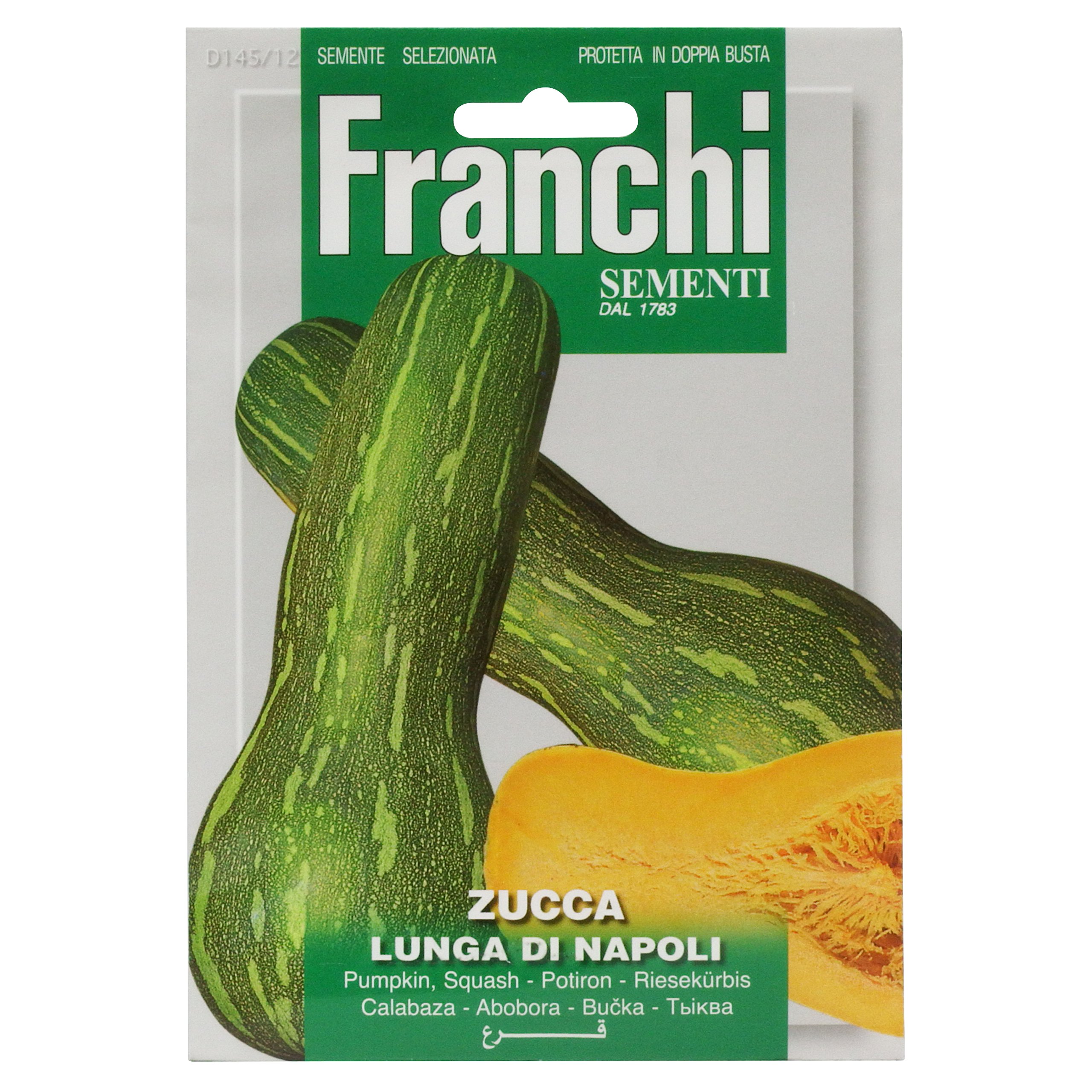 Franchi Pumpkin Zucca of Napoli