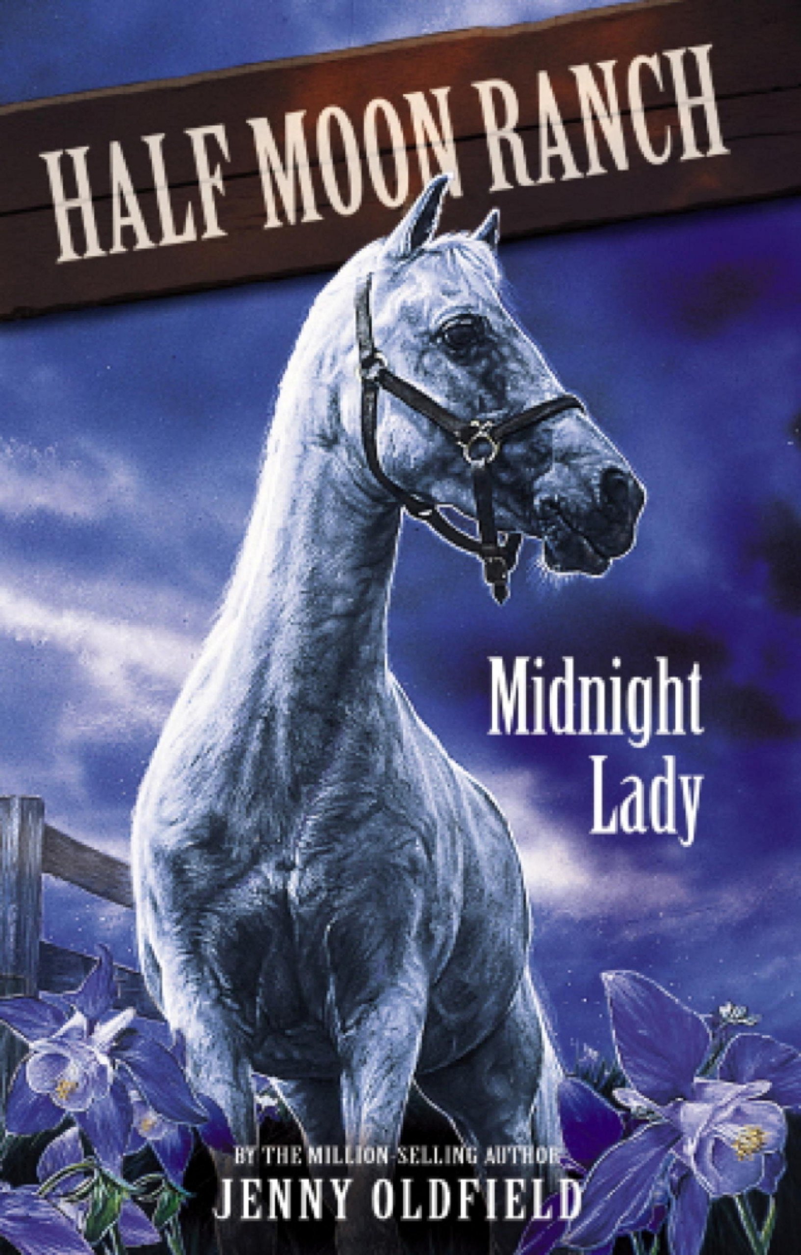 Midnight Lady: Book 5 (Horses of Half Moon Ranch)