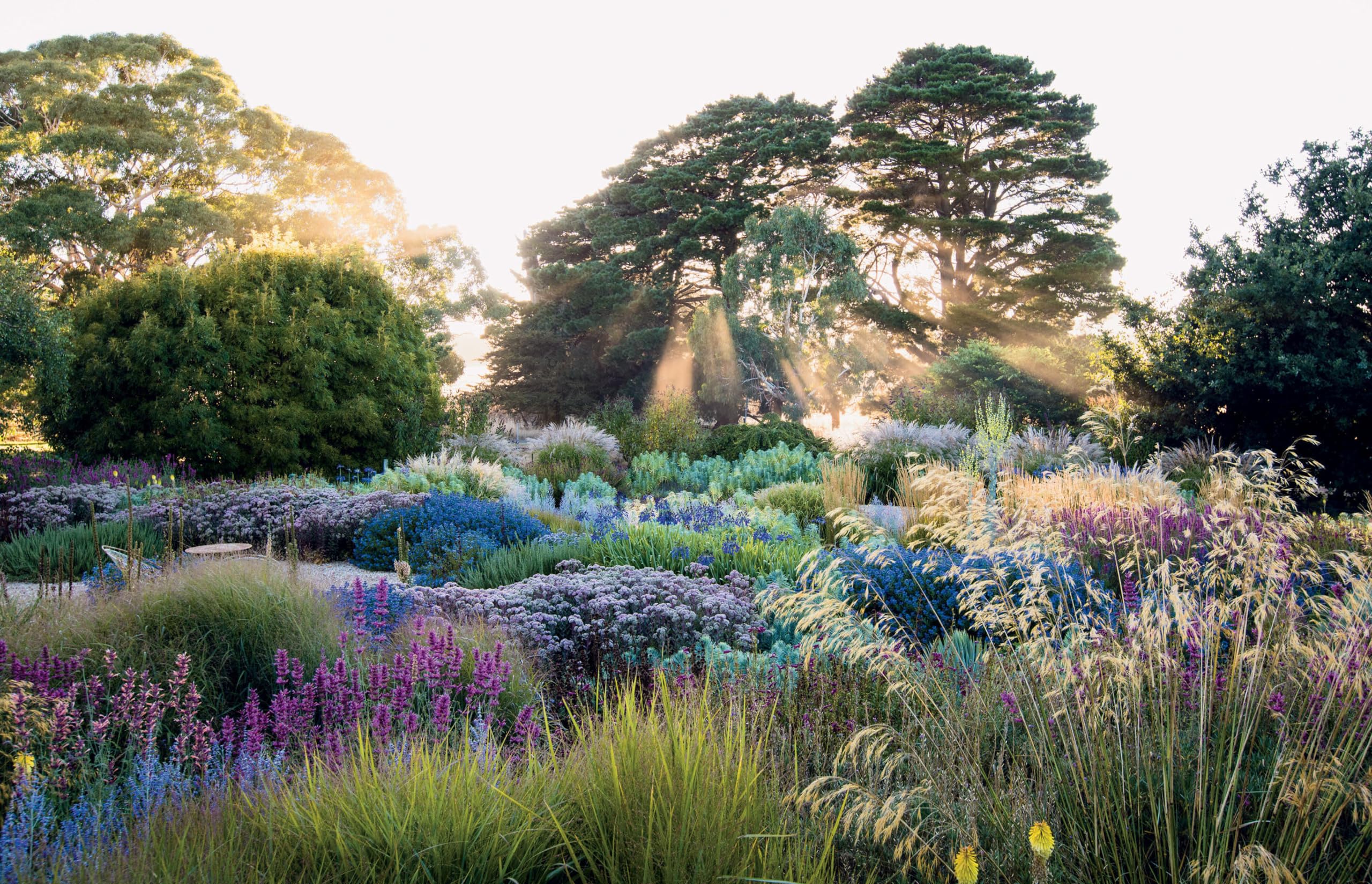 Dreamscapes. Inspiration And Beauty In Gardens Nea: Inspiration and beauty in gardens near and far