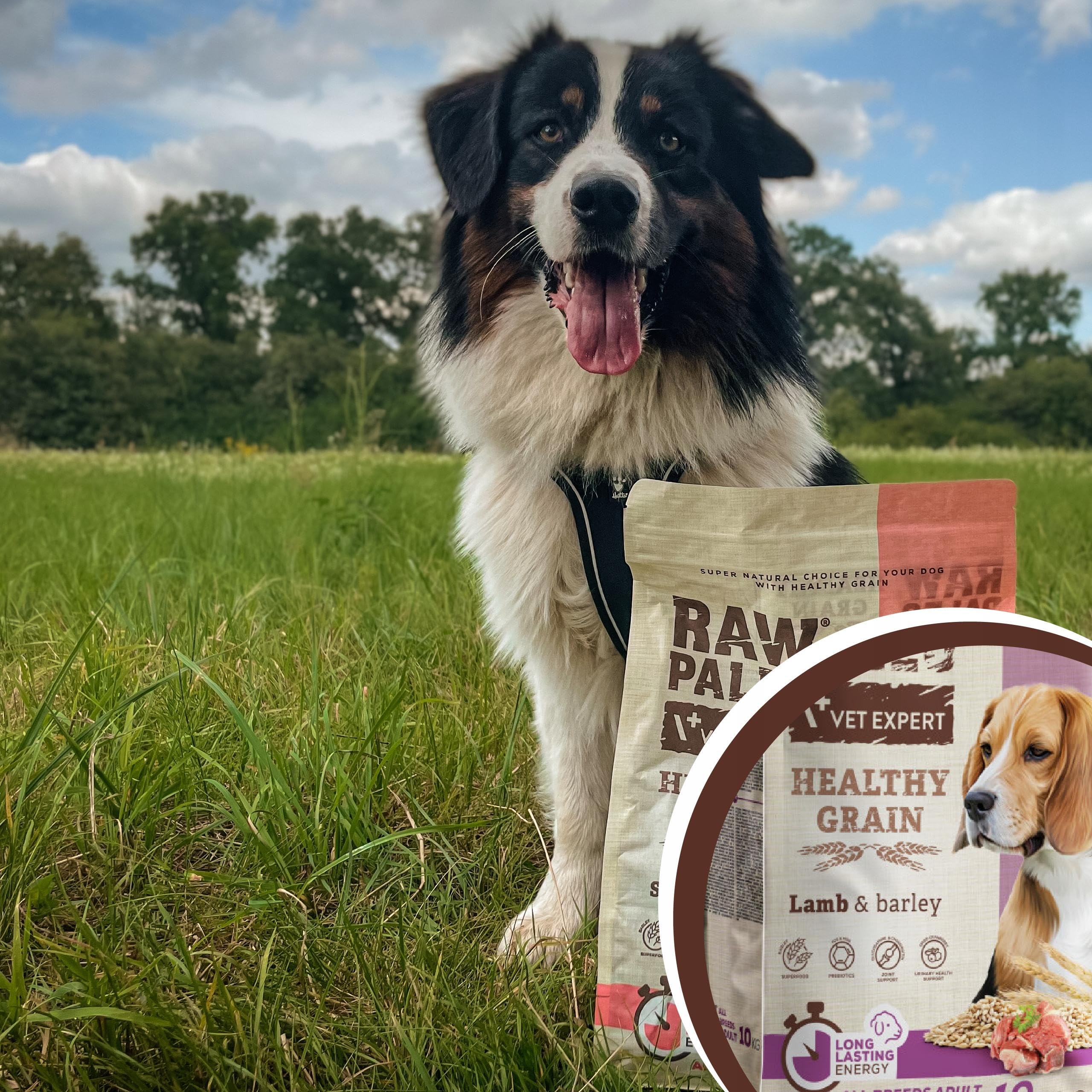 HEALTHY GRAIN ADULT LAMB - sucha karma z jagnięciną dla psów dorosłych 10kg