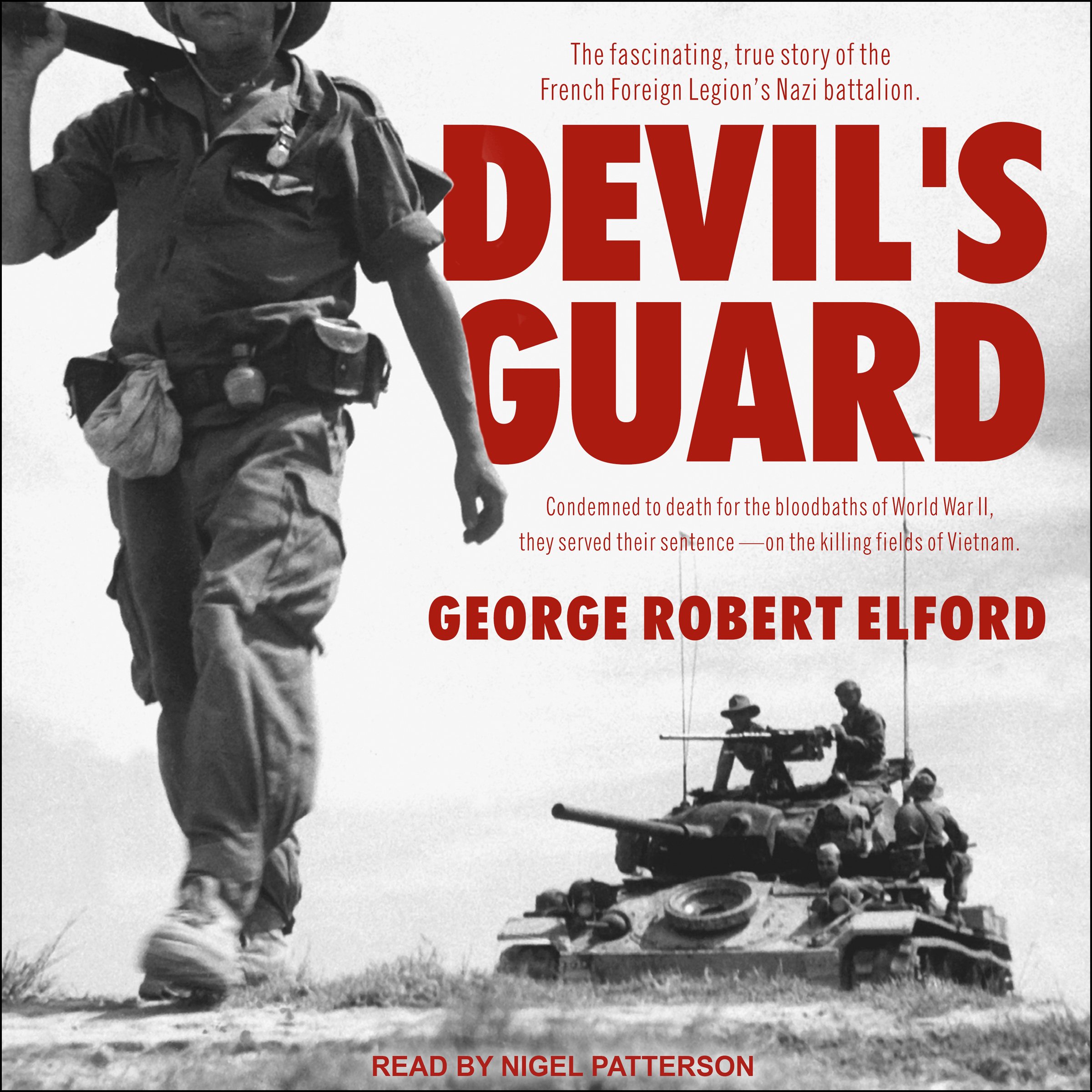 Cover art for Devil's Guard