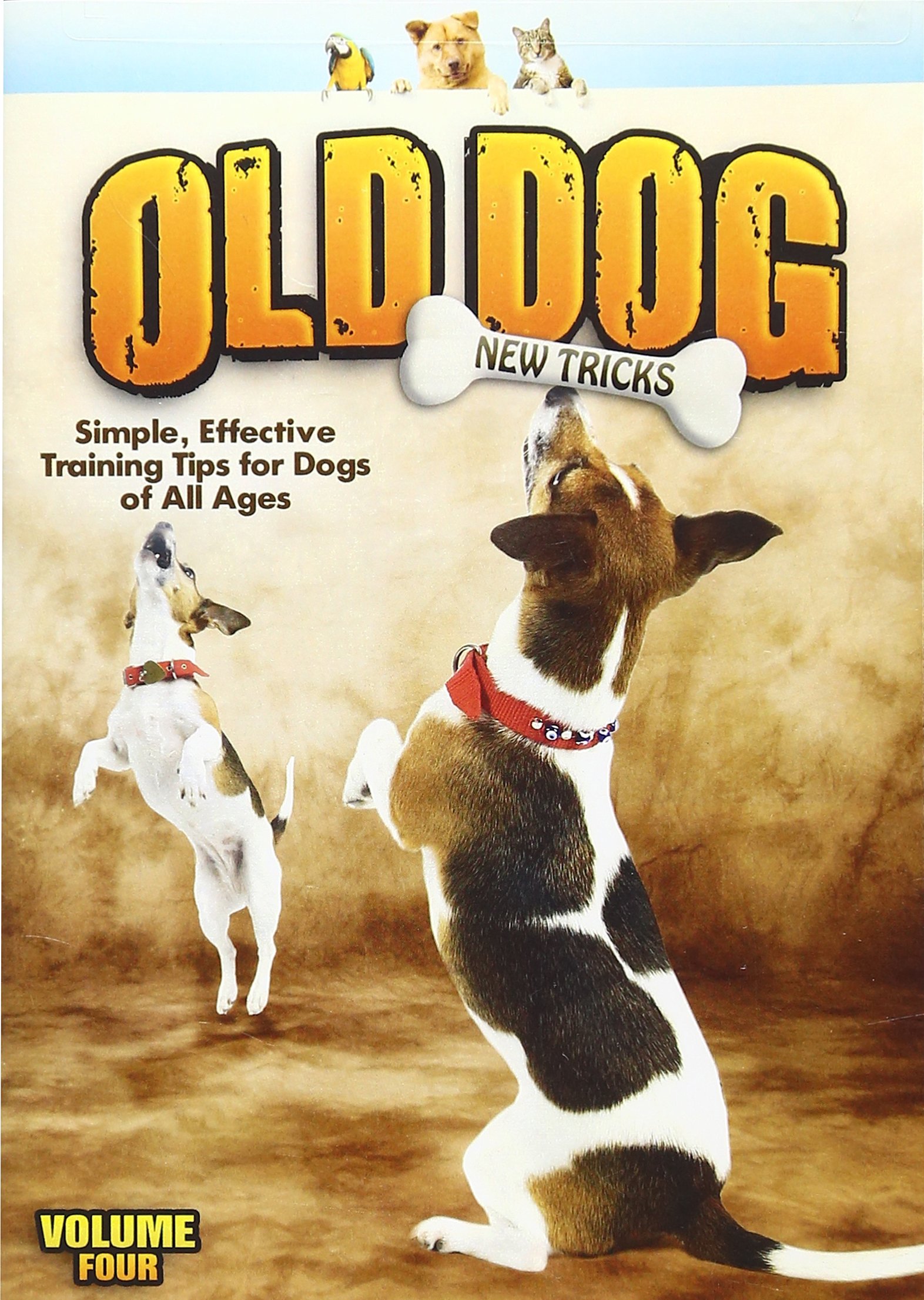 OLD DOG, NEW TRICKS V.4 [DVD]