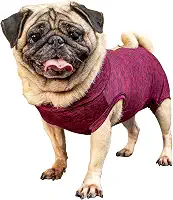 Roupa pós-cirúrgica para PUG fêmea - Tam 5 peso 11 a 15kg - Pet Designer