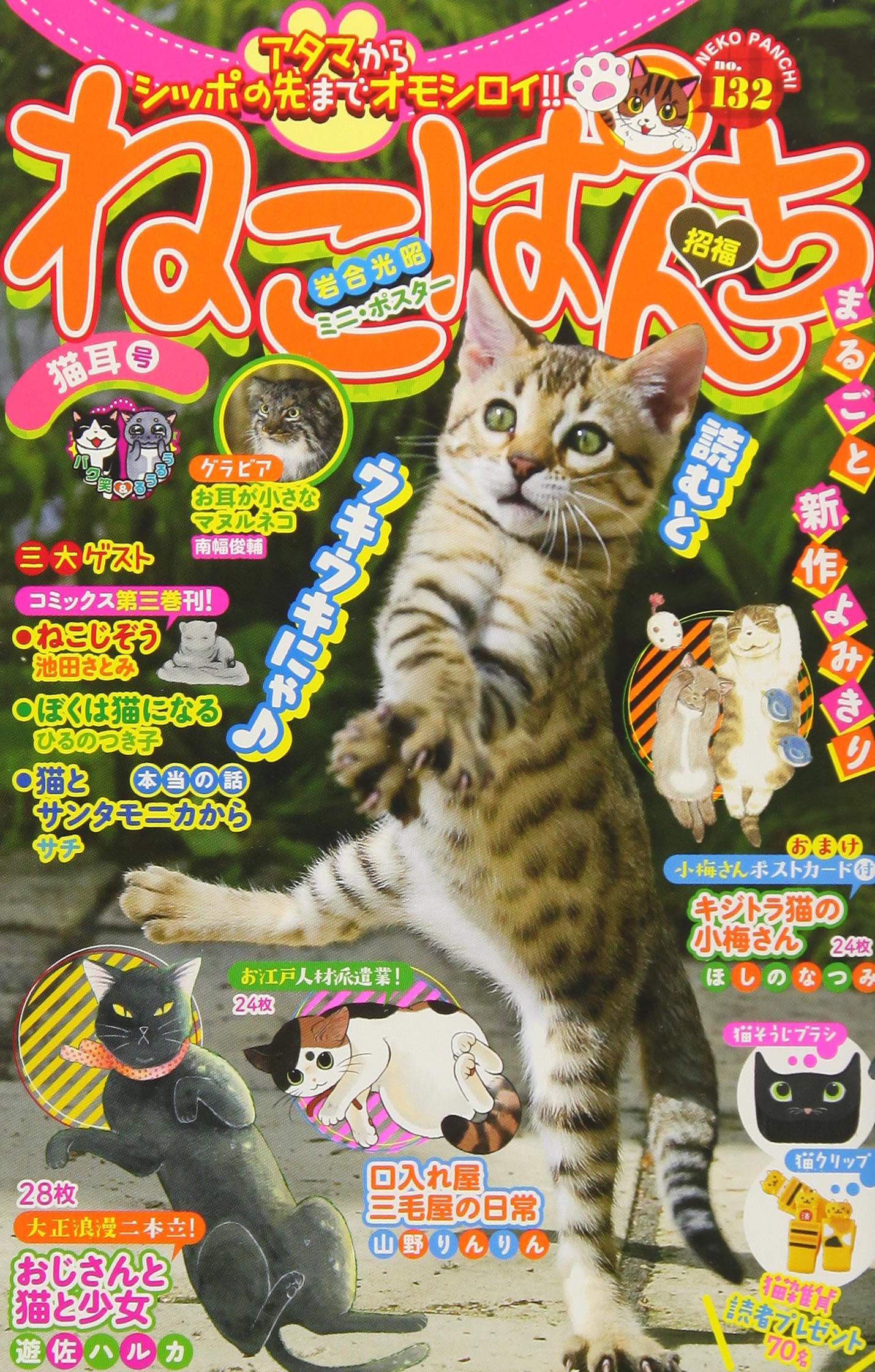 ねこぱんち 猫耳号 にゃんcomi廉価版コミック アンソロジー 本 通販 Amazon