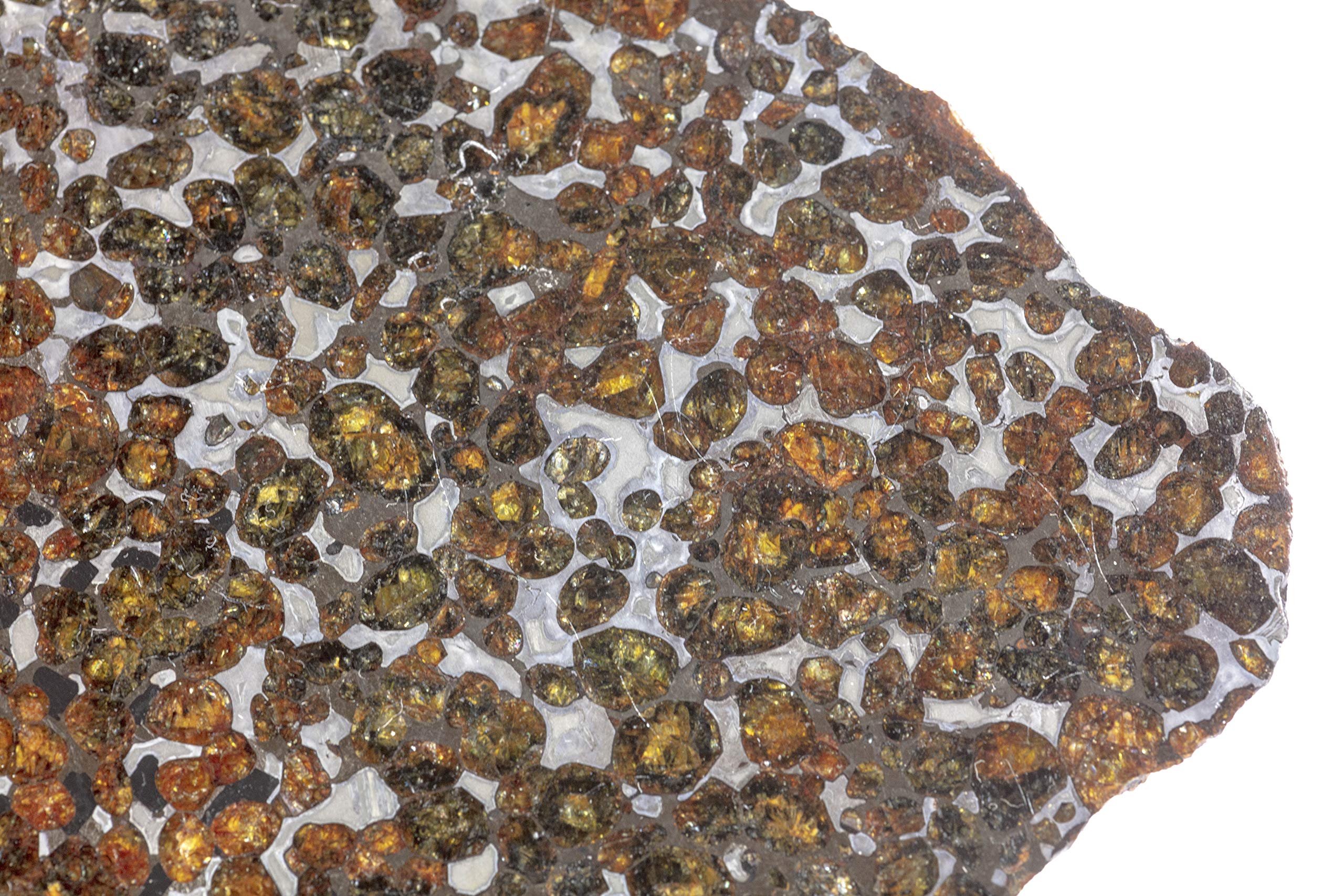 Amazon | 本物 パラサイト隕石 最新発見 スミソニアン博物館にも収蔵