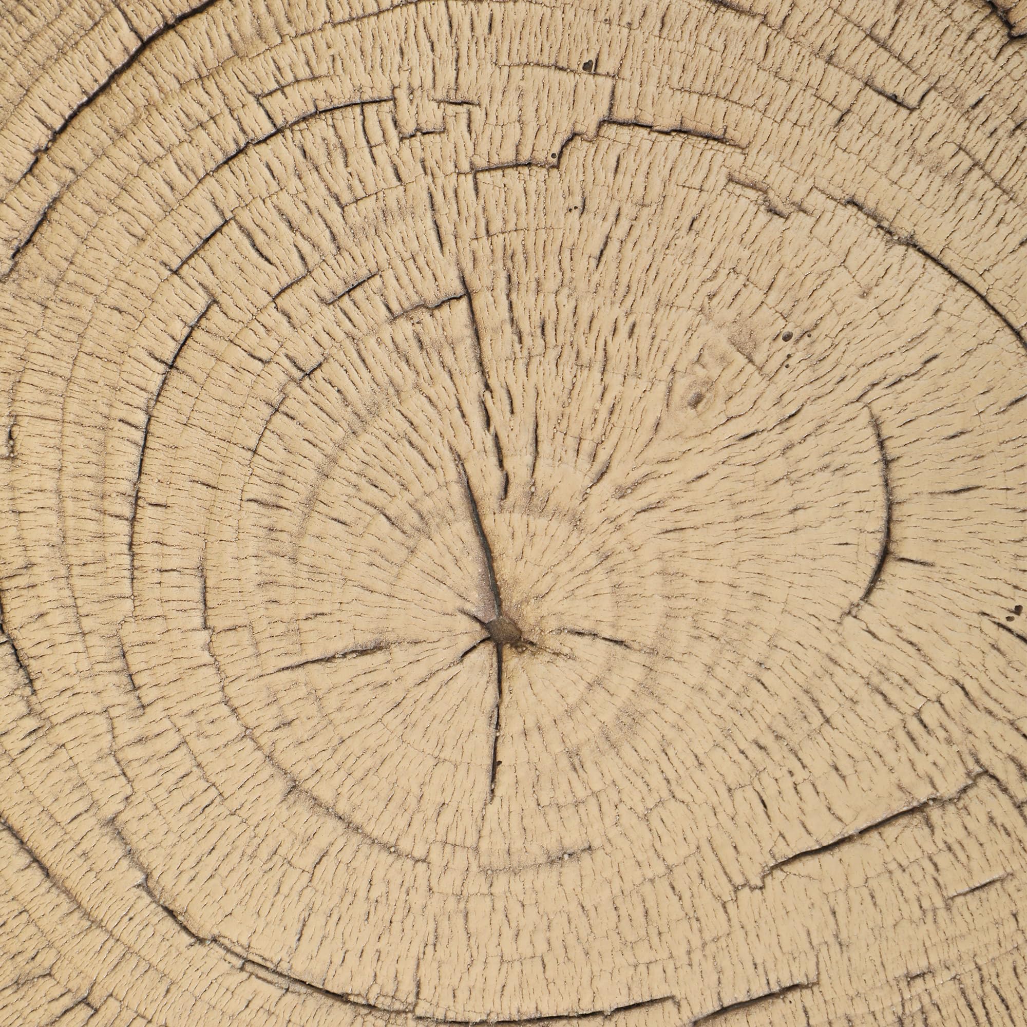 Outsunny Sgabello decorativo da giardino Ceppo d'albero Sgabello decorativo a forma di ceppo d'albero Uso multifunzionale Panchina stabile e robusta per terrazza patio Ø38x42 cm Legno naturale