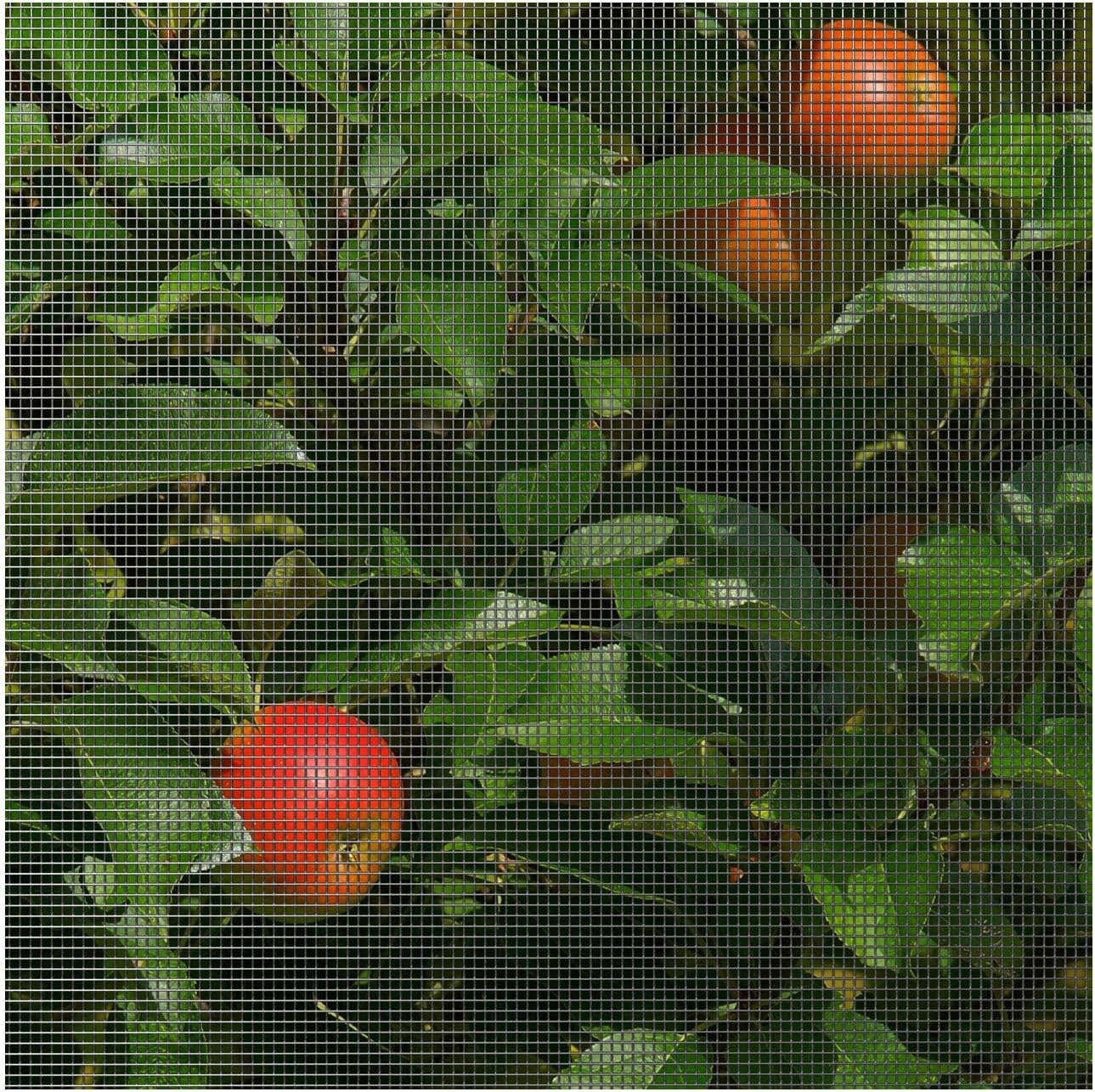 Hardware Cloth 23 Gauge (2 x 100)