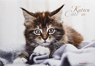 Calendario da muro Gatti 2019 42x30 cm