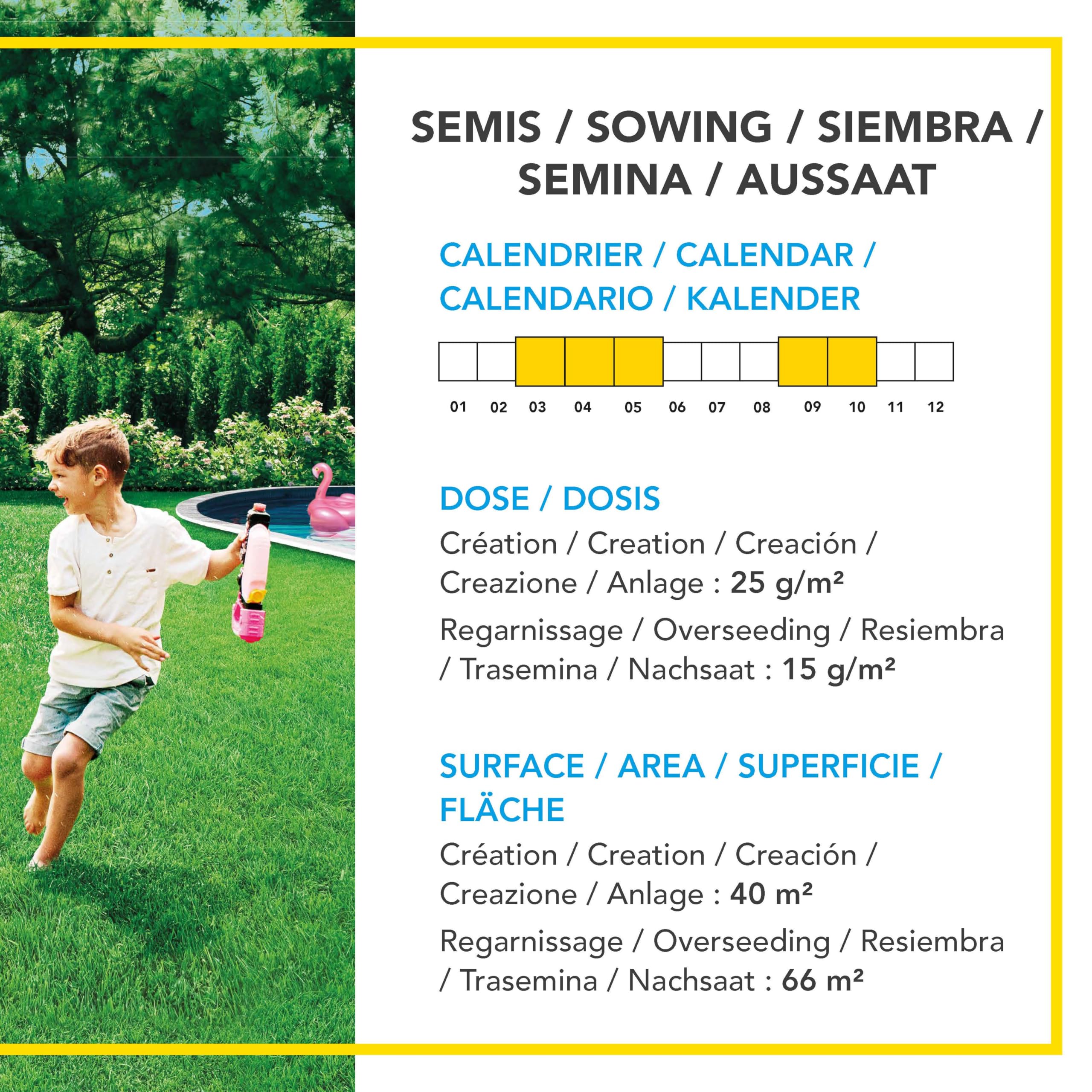 Barenbrug - Césped Terrenos Secos sin riego - Resistente al Calor y a la Sequía - Gran Reducción del Riego - Autorreparación Natural - Ahorro de Agua - Fabricado en Francia - 1 Kg