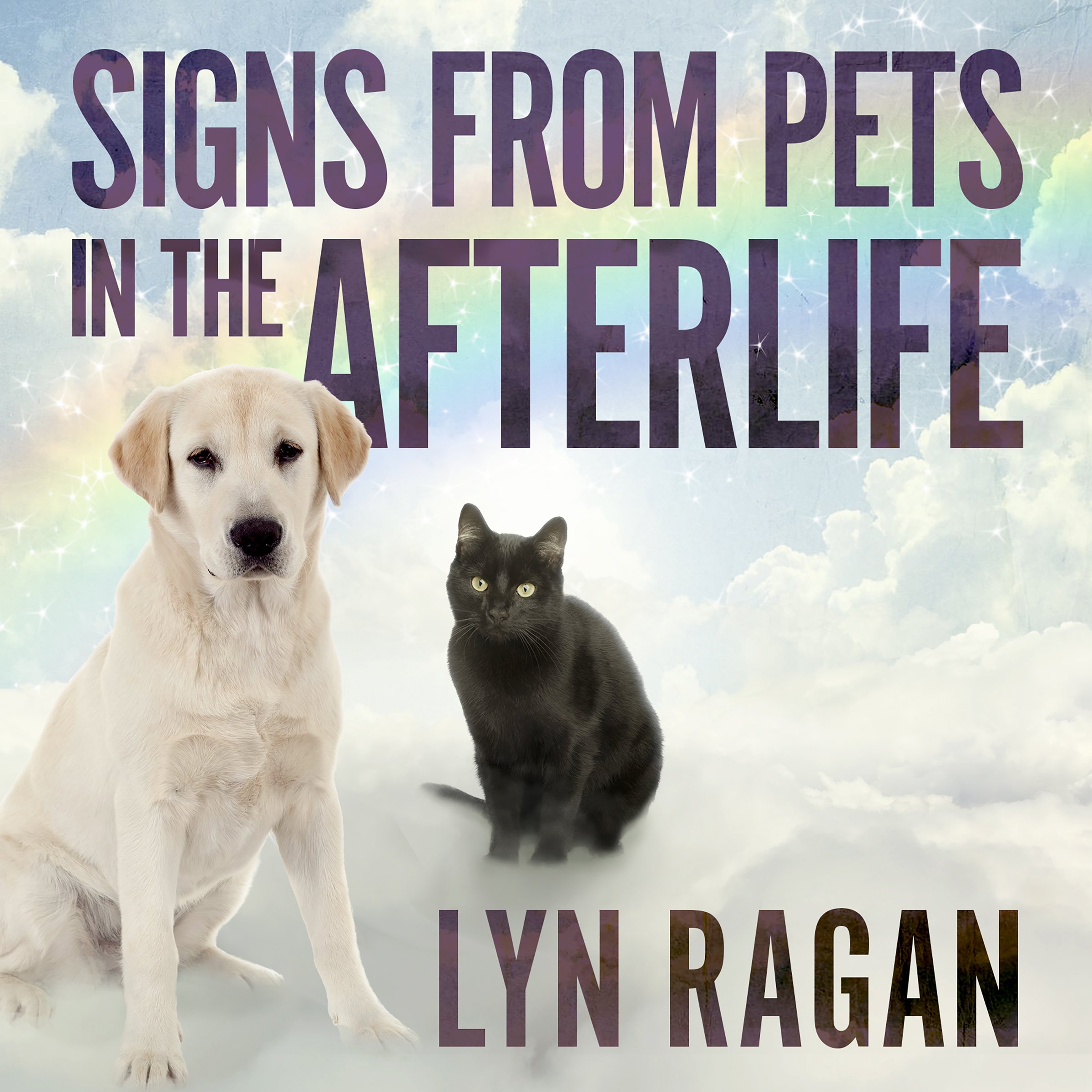 Cover art for Signs from Pets in the Afterlife