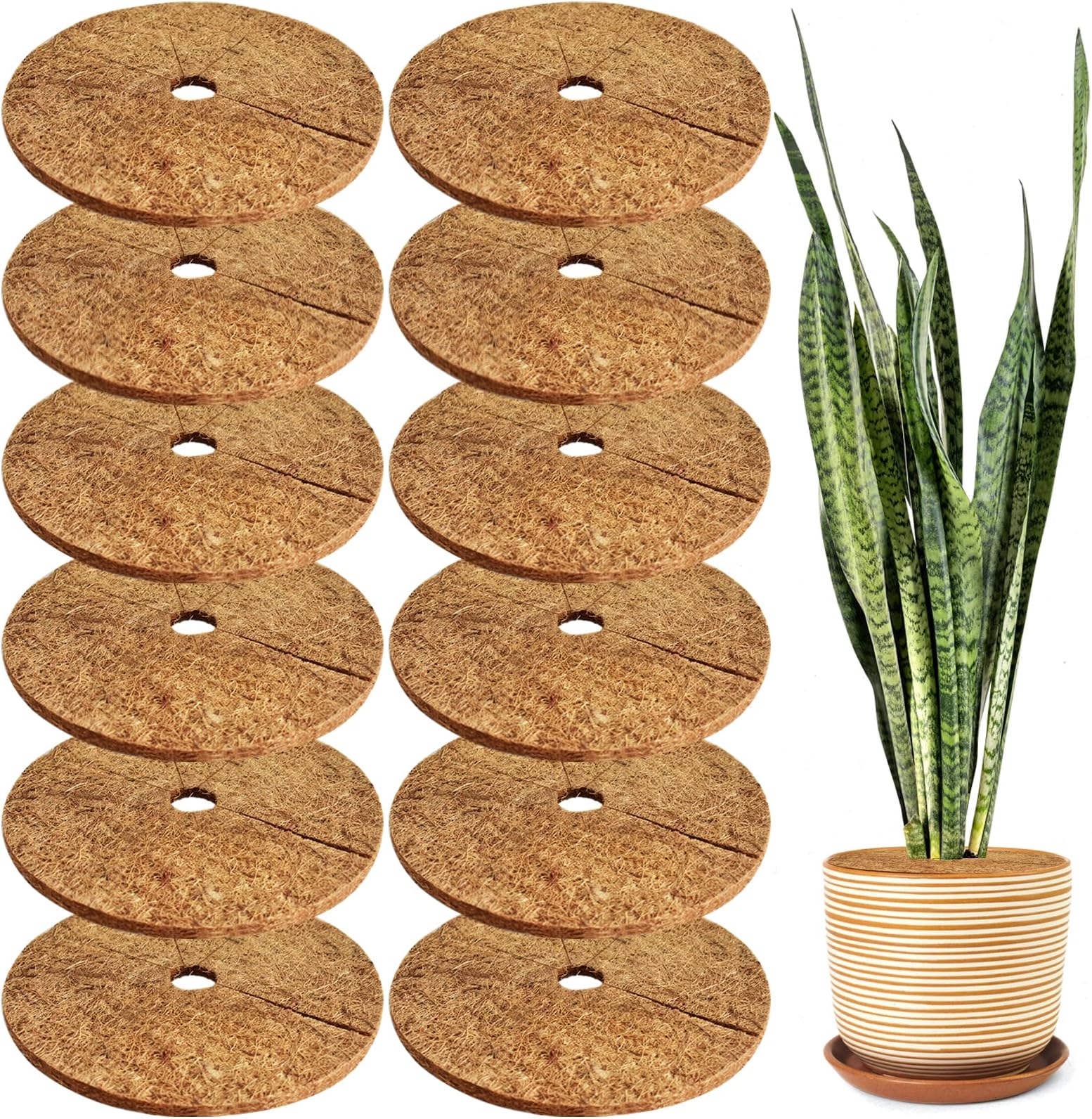 Coconut Mat for Plants, Coconut Fibers Mulch Ring Tree