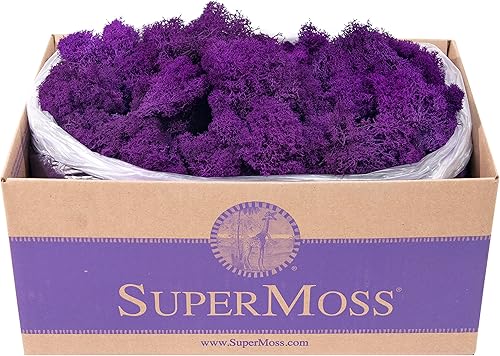 Miniatura 20 de SuperMoss (21710) Musgo de Reno Conservado, Verde Bosque, 1.36kg
