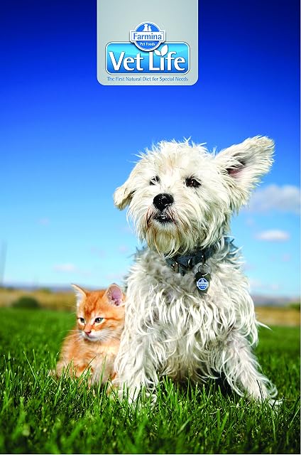 Foto 4 de 5 de Farmina Vet Life Ultrahypo Dog - Perro (1 x 2 kg)