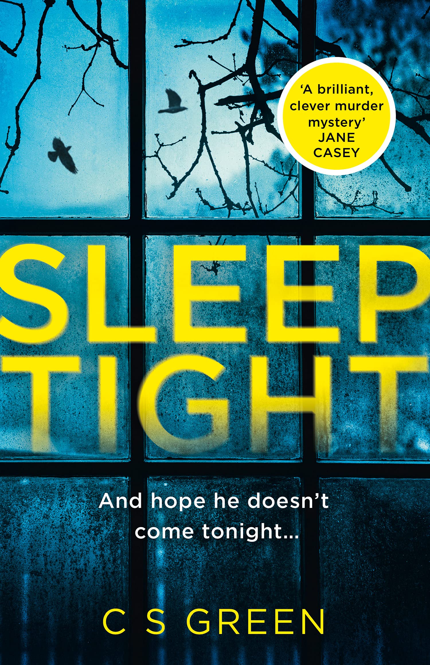 Sleep Tight, Fiction, Paperback, C S Green
