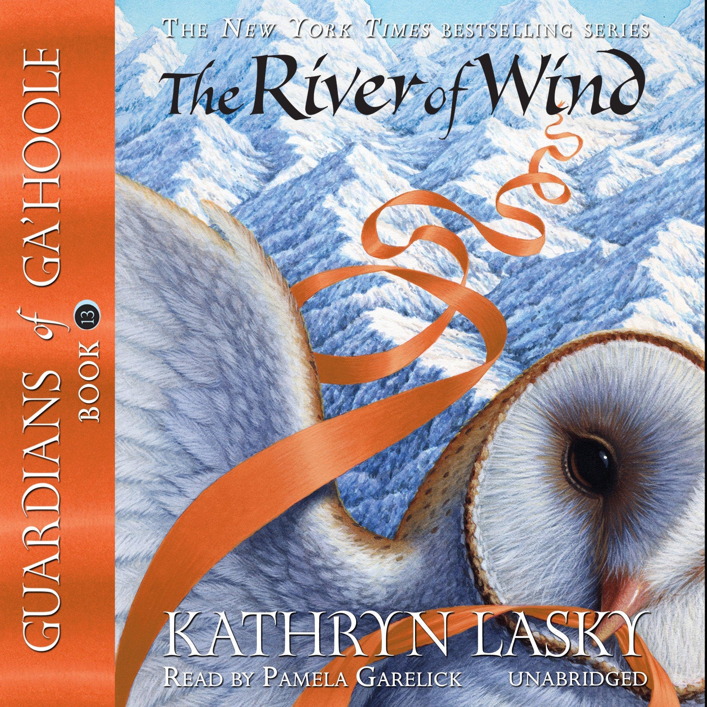 Cover art for The River of Wind