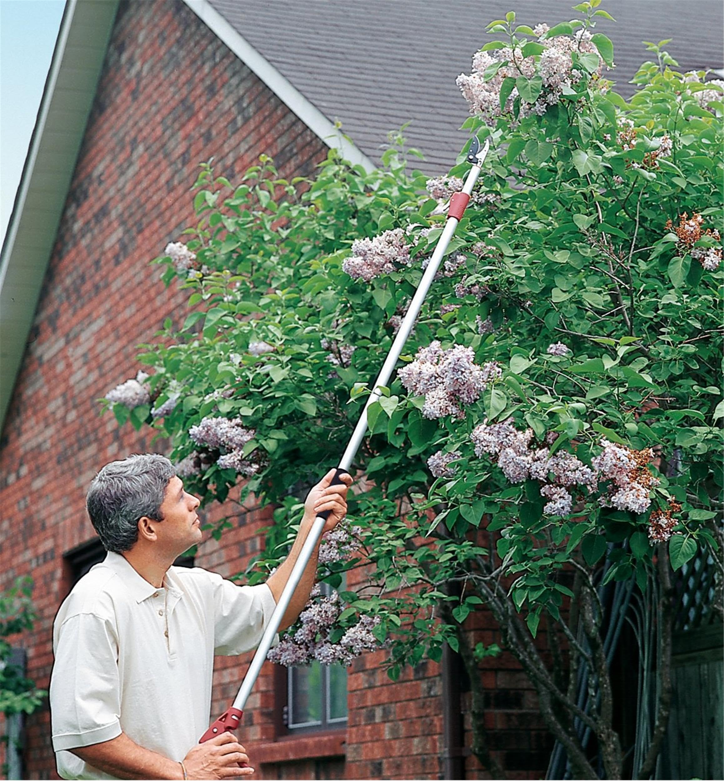 Schneidgiraffe Teleskopschere 1,2-2,2m, zum Beschneiden von Bäumen Büschen Frucht Teleskop-Heckenschere arbeitssparender Astschere mit Teleskopstiel manuelles Gartenschneidwerkzeug + Astsäge