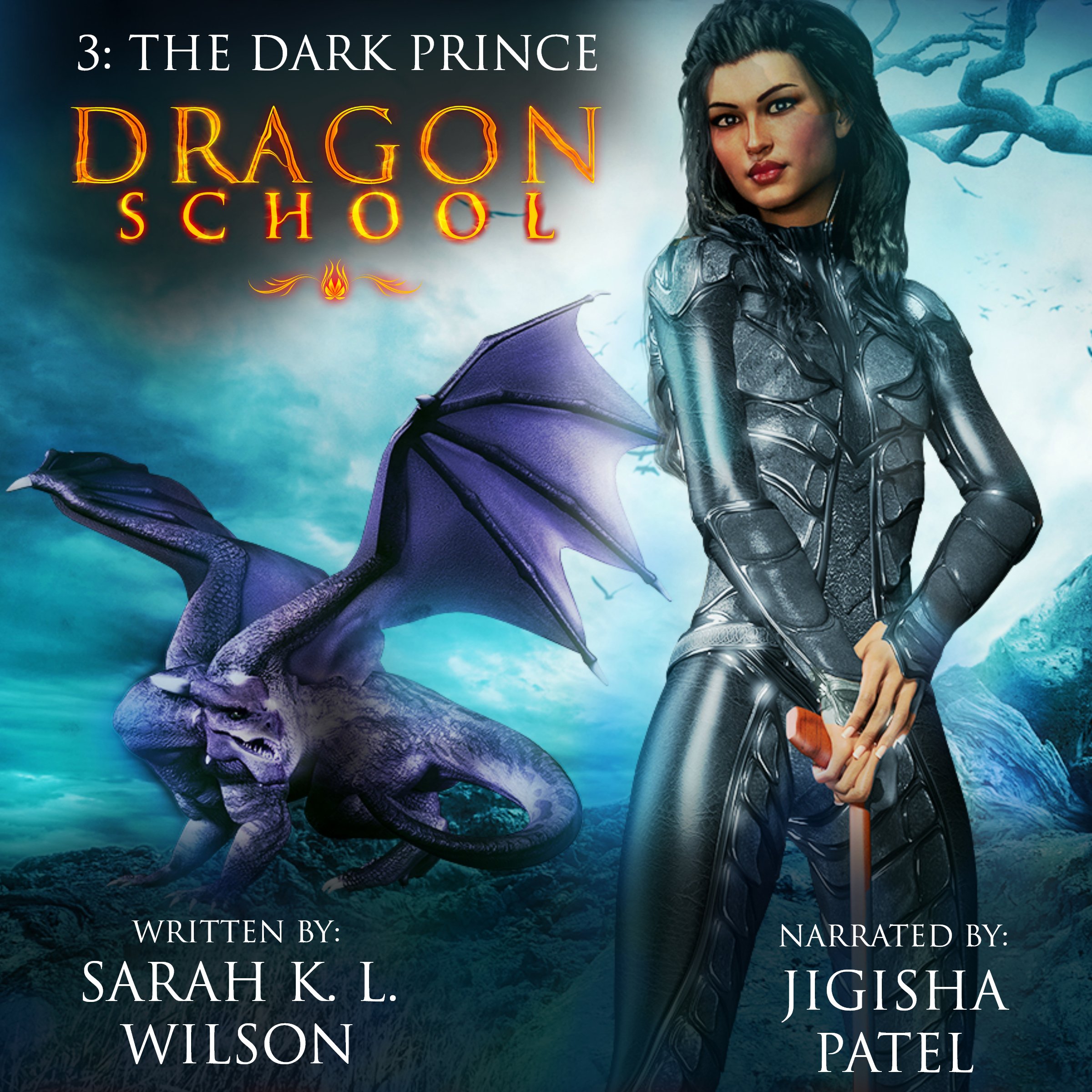 Cover art for Dragon School: The Dark Prince