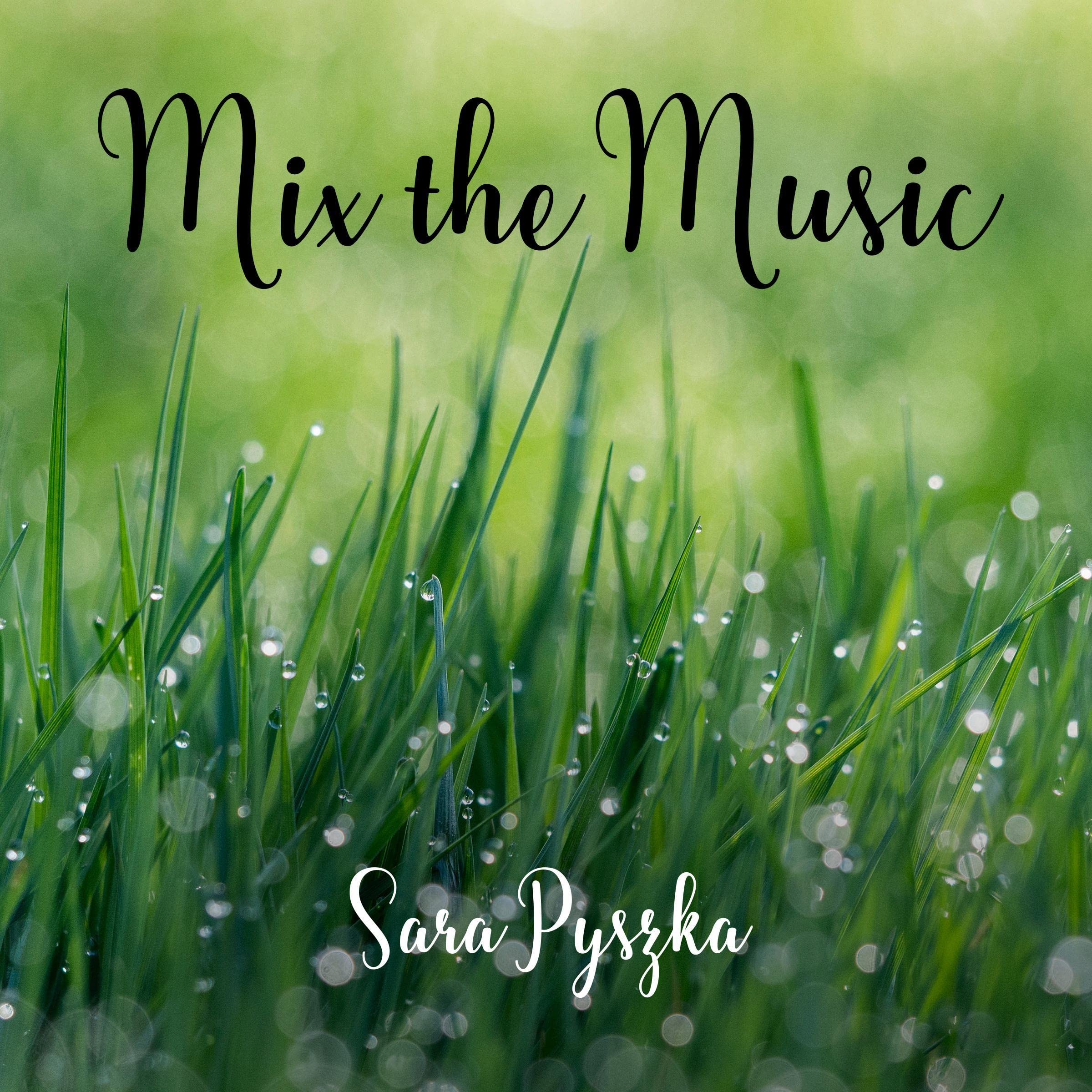 Cover art for Mix the Music