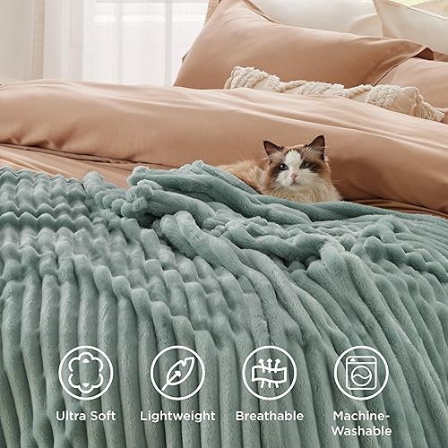 Miniatura 98 de Bedsure GentleSoft Twin Blanket for Couch - Cozy Soft Blankets for Women, Cute Small Fleece Throws for Girls, Light Grey, 60x80 Inches