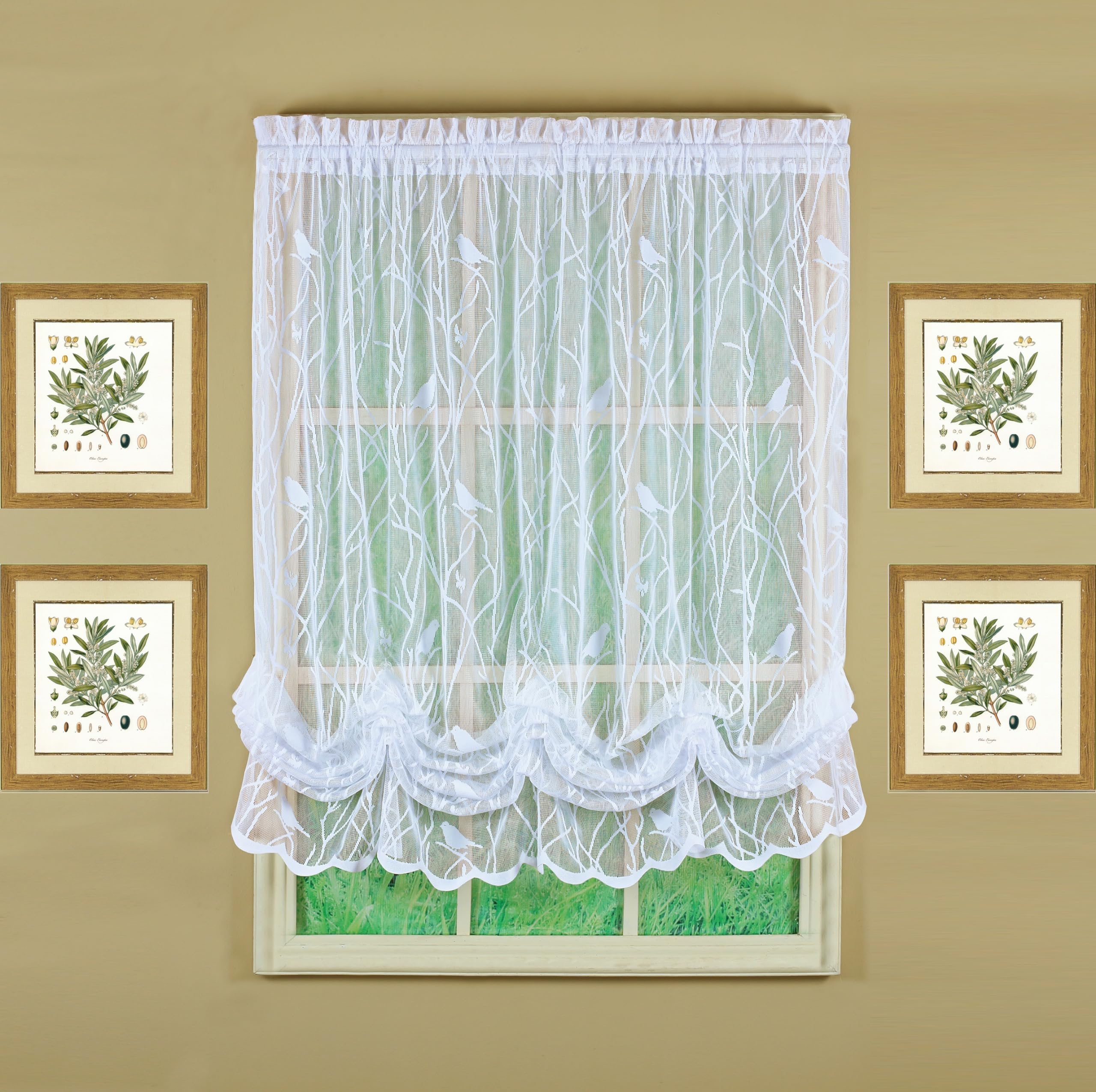 Today's Curtain, Songbird Semi-Sheer Lace Balloon Shade, White, 57" W x 63" L, W 57" x L 63" (1 Panels)