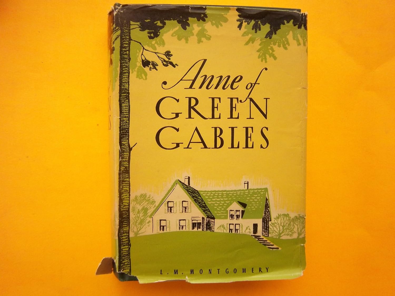 Anne Of Green Gables: Montgomery, L. M.: Amazon.com: Books