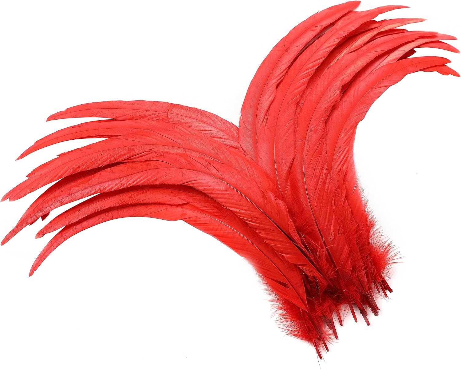 Holmgren Red Long Rooster Feathers - 60pcs 12-14inch Natural Large Rooster Tail Feathers Bulk for DIY Crafts Shawl Costume and Holiday Themed Party Decoration (Red)
