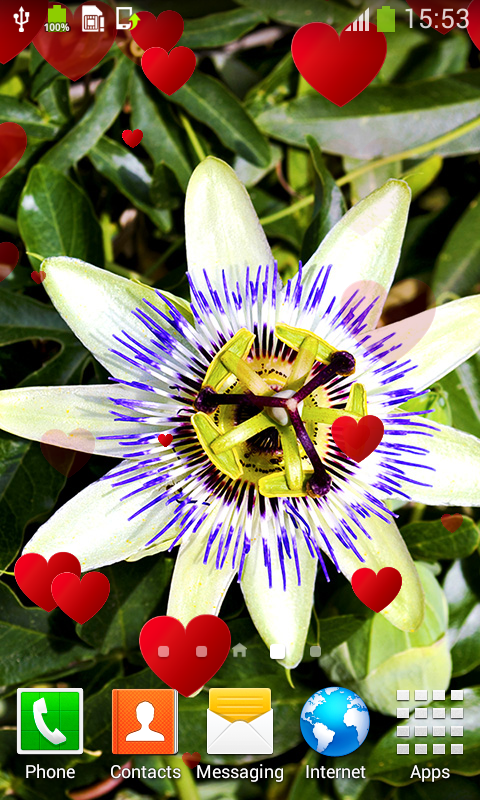 花時計ライブ壁紙 Amazon Co Jp Appstore For Android