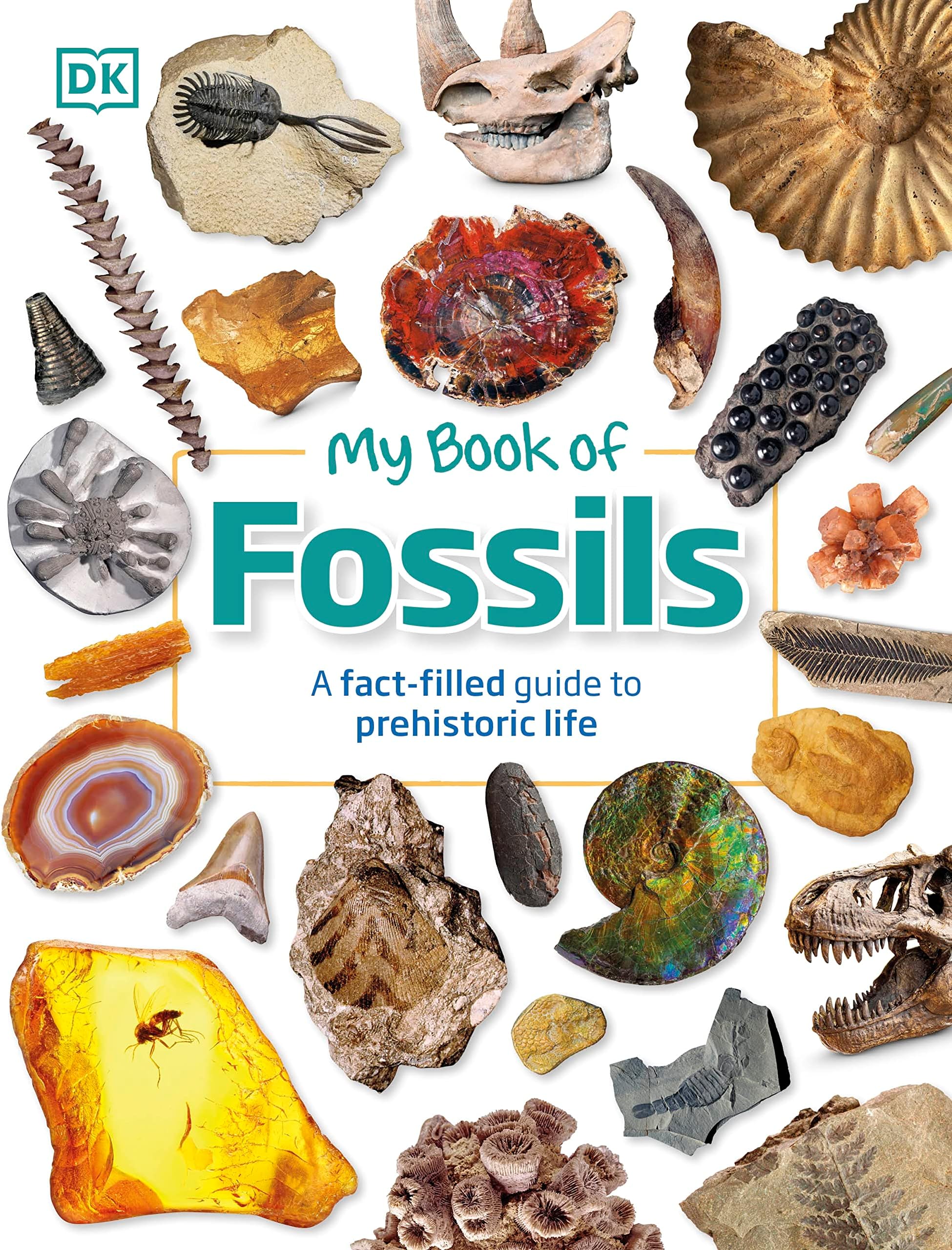 My Book of Fossils: A fact-filled guide to prehistoric life