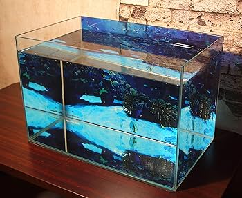 Amazon | AQUAGraphiX 水槽バックスクリーン AG-002 海底 45cm用