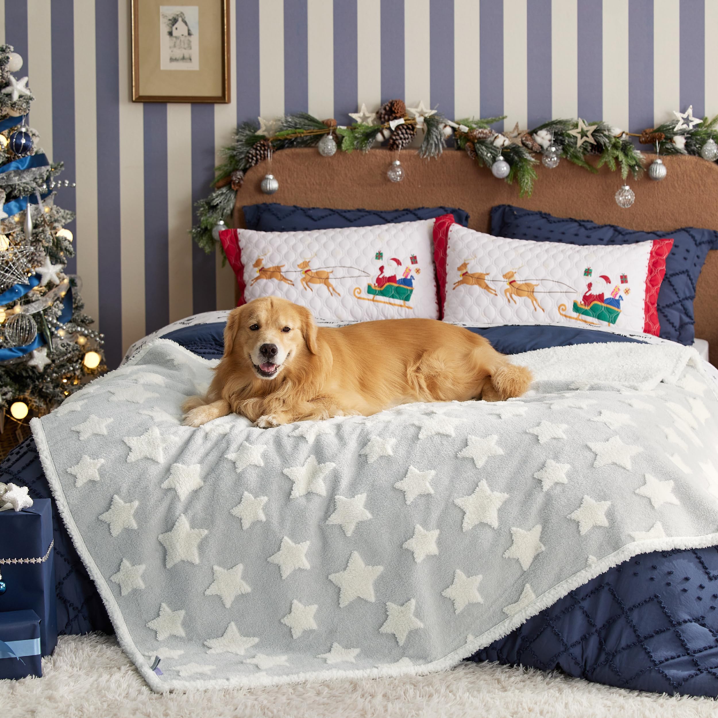 Lesure Waterproof Dog Blanket for Large Dogs - Washable Double Sided Dog Blankets with Warm Jacquard Shag and Soft Sherpa Fleece, Pet Cat Blanket for Bed Protection, 3D Textured Star, Grey