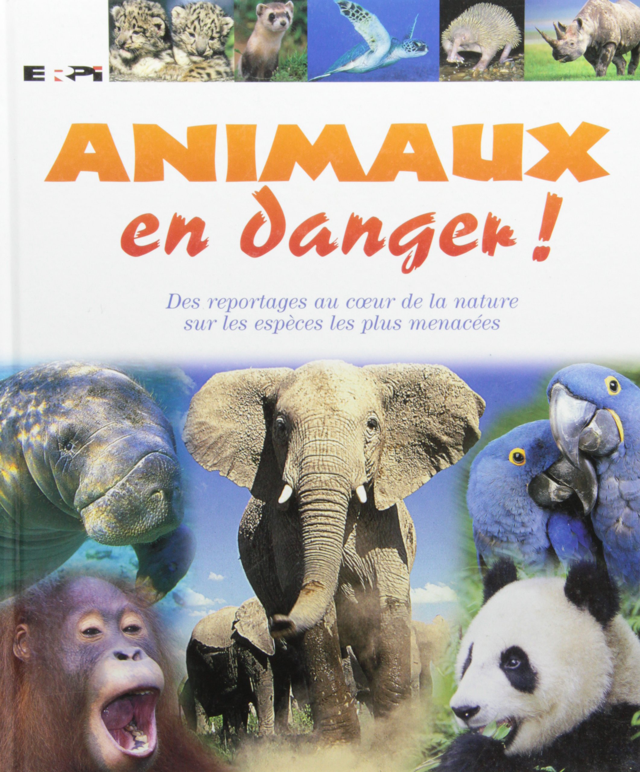 Animaux en danger mon encyclopédie Mills Andrea