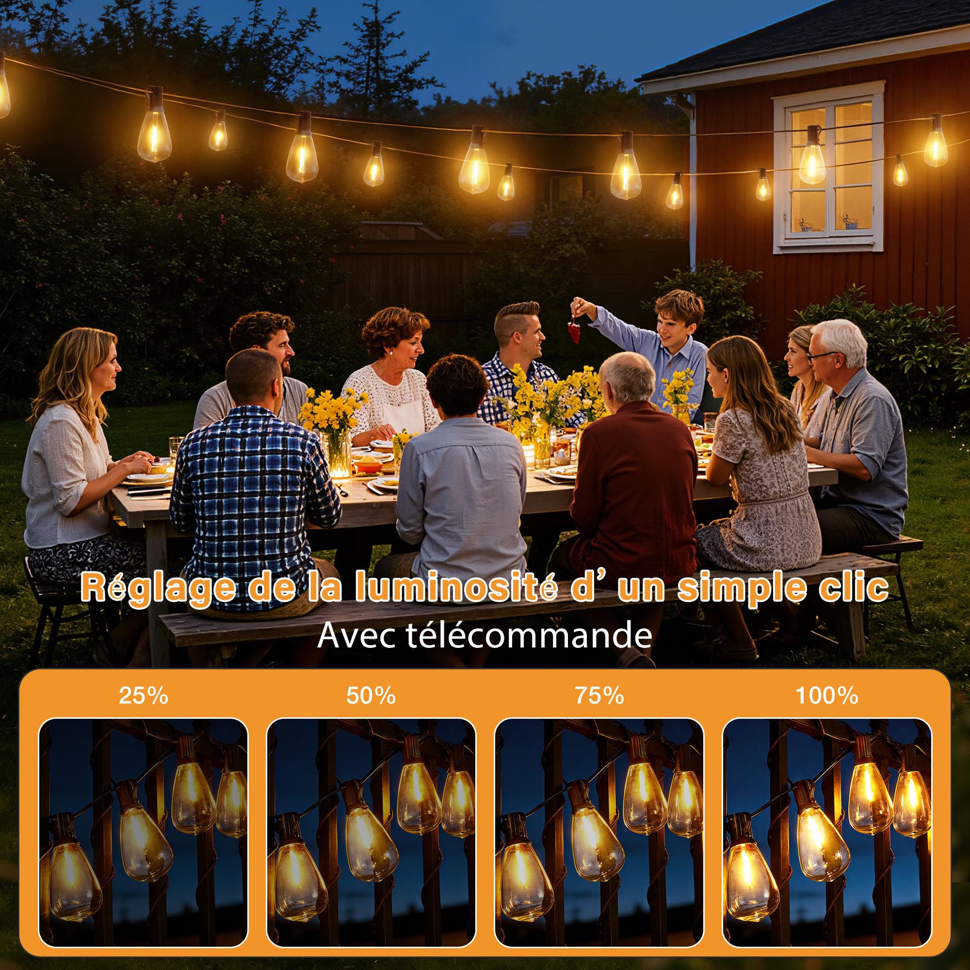 HeiPard Guirlande Lumineuse LED d'extérieur 10m – 15+1 Ampoules ST38, avec Télécommande, 3 Modes, Minuterie et intensité variable, étanche pour jardin, pavillon, terrasse