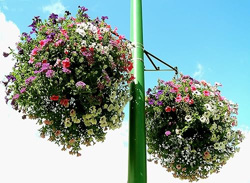 Miniatura 3 de Soil Moist Tapetes para cestas colgantes macetas y recipientes paquete de 6 piezas