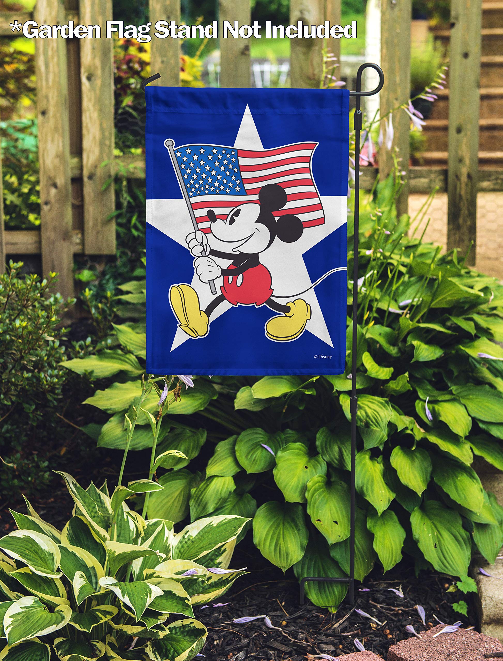 Amazon.com : Flagology.com, Disney, Mickey Mouse, Freedom Mickey