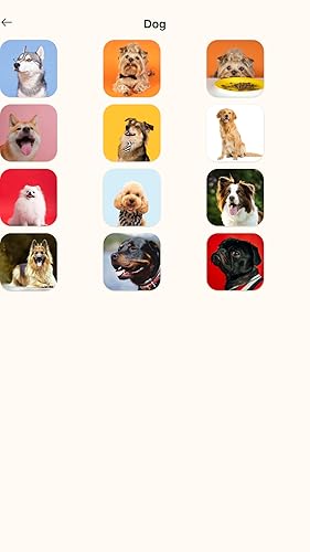 PetLingo : Pet Translator Simulator - Cat Dog Translator Prank App Communicate with your Pets - Pets