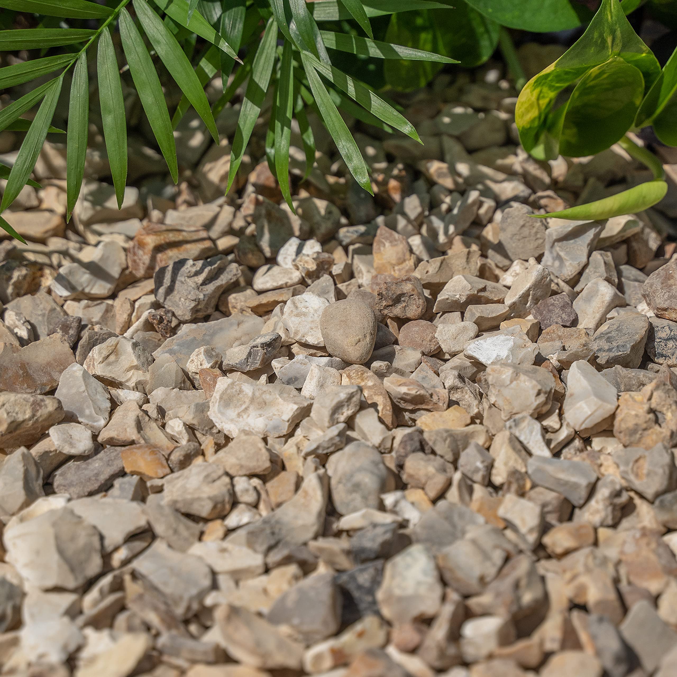 Piedra de grava de 5 kg para evitar malas hierbas, jardín, patio, camino, planta, topping – Otoño oro astillado