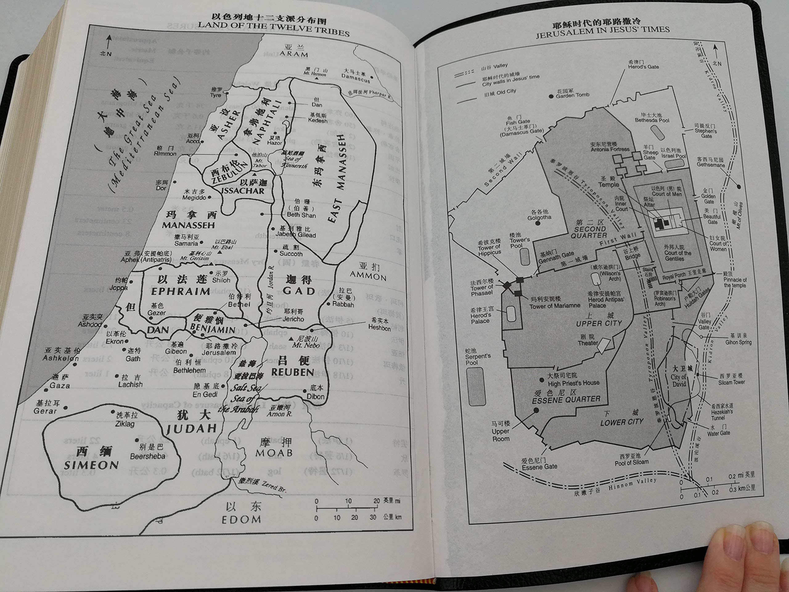 Amazon.com: Chinese/English CUV/NIV Bible 中英聖經和合本．黑色真皮
