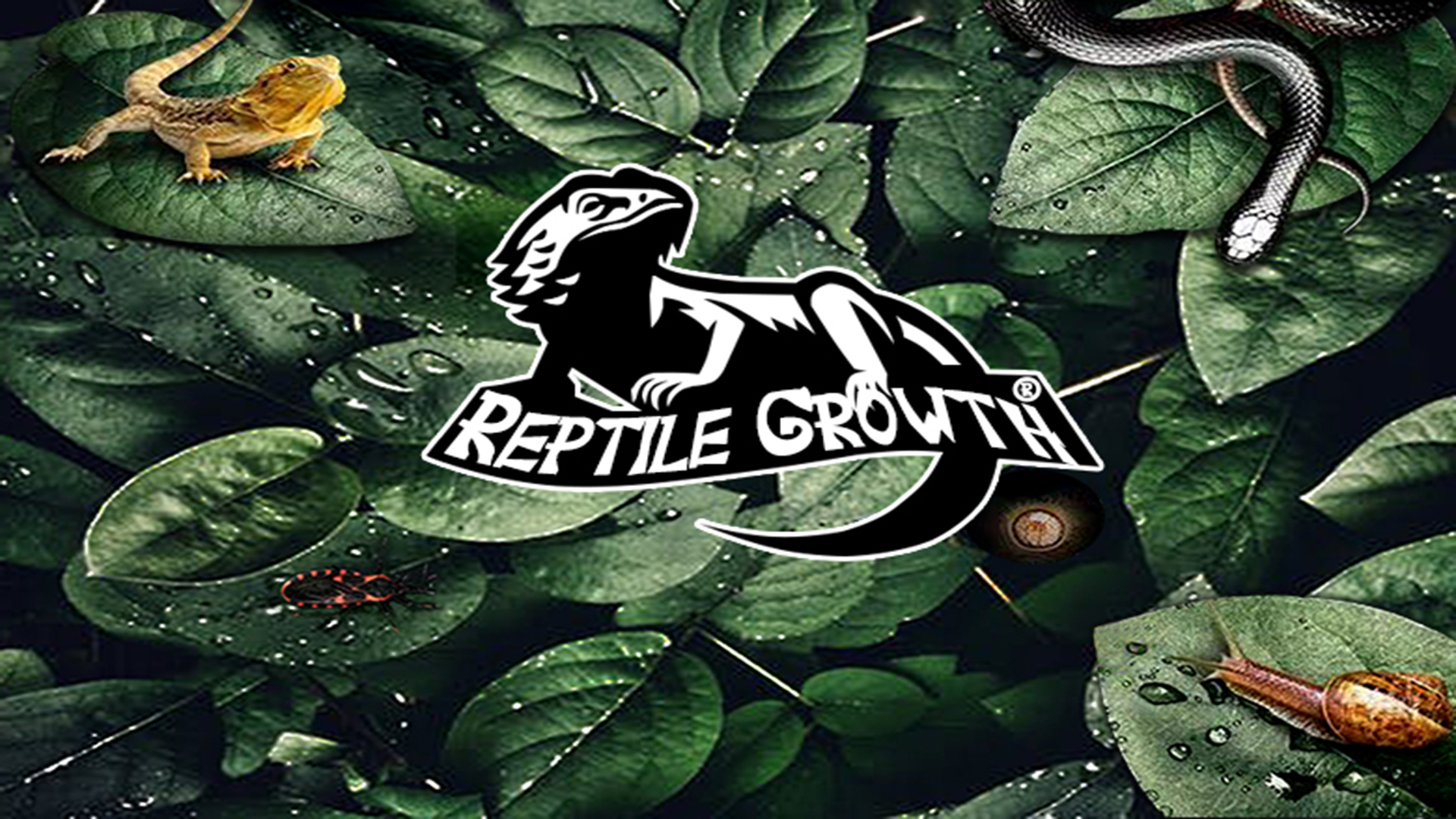 Reptiel