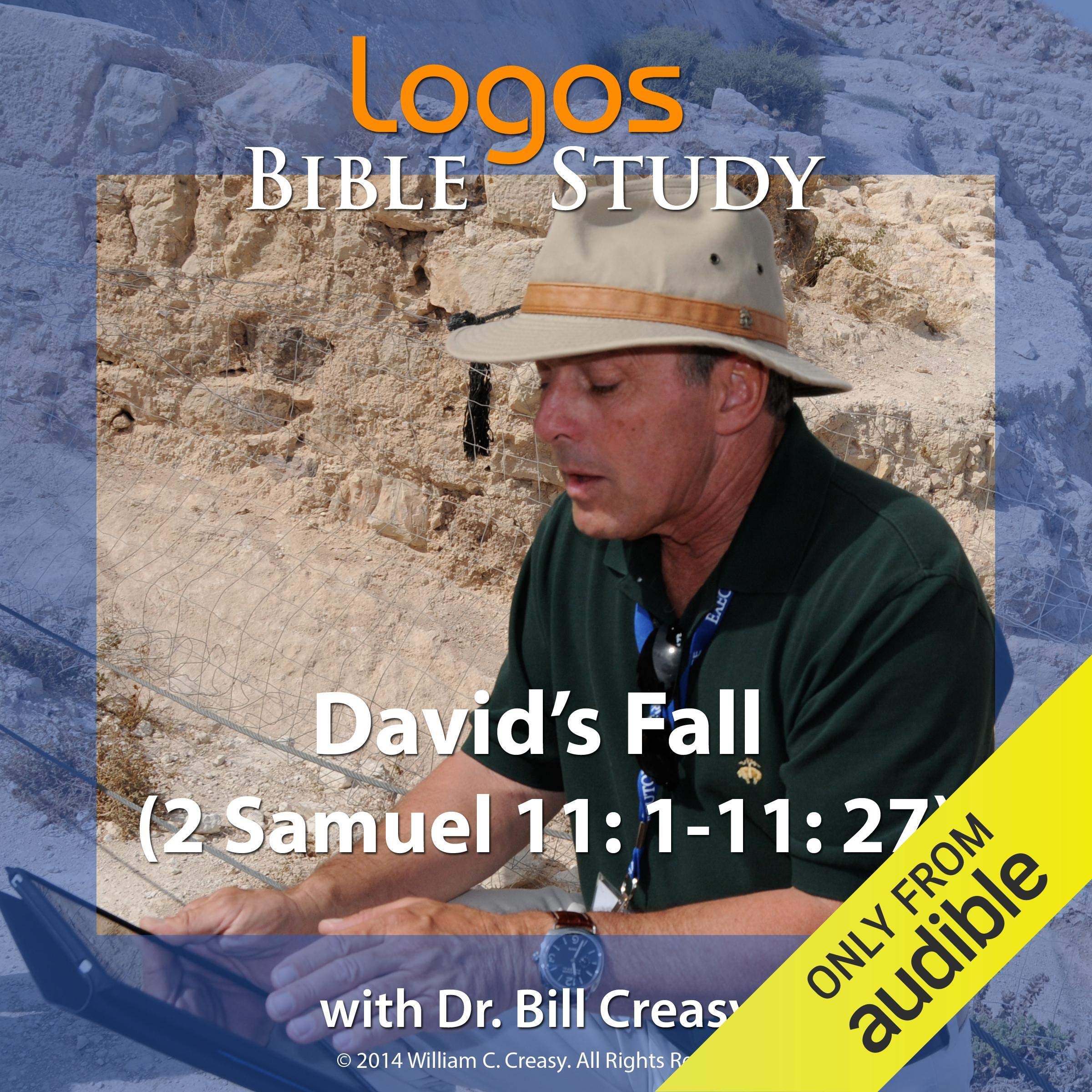 Cover art for David’s Fall (2 Samuel 11: 1-11: 27)