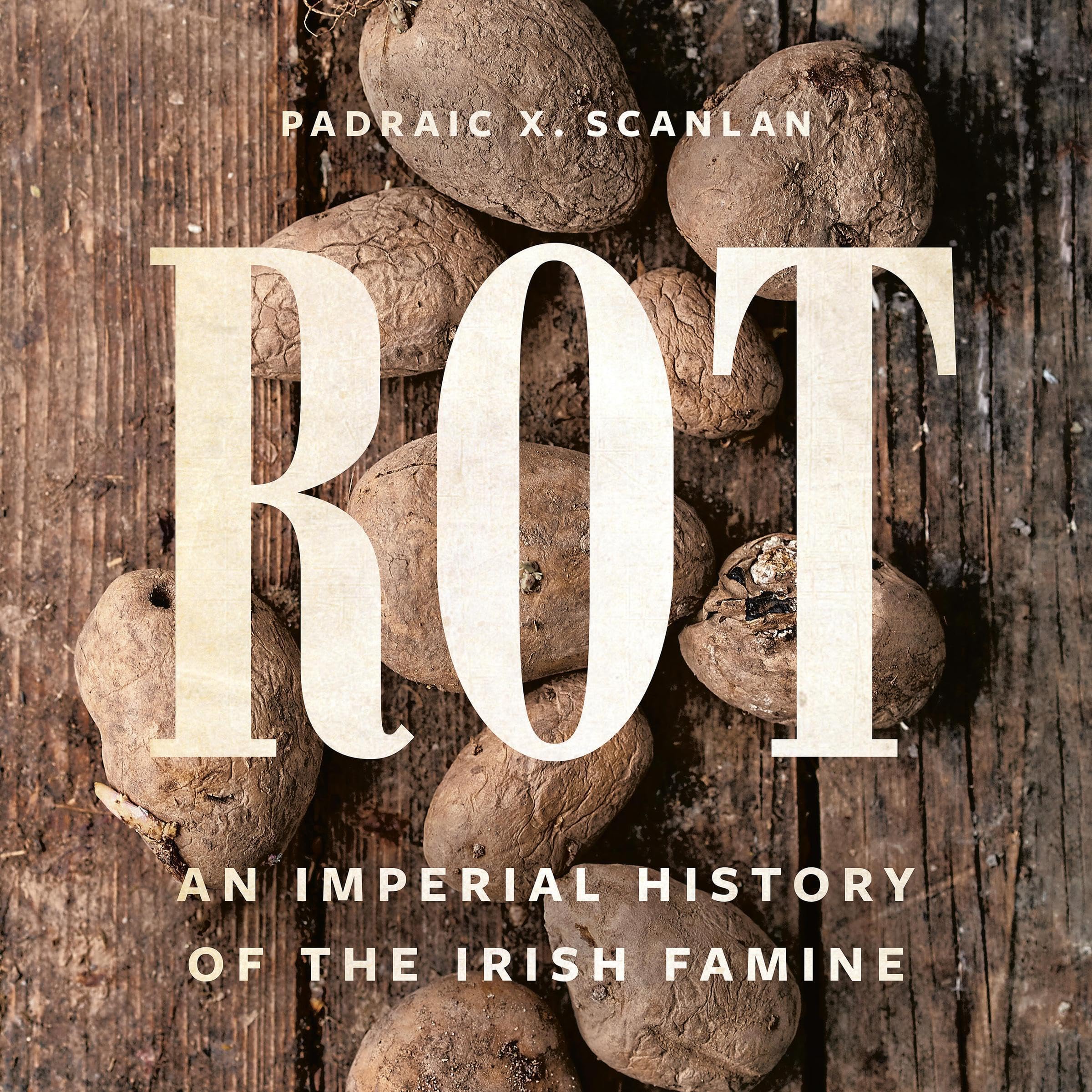 Cover art for Rot