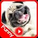 Funny Videos