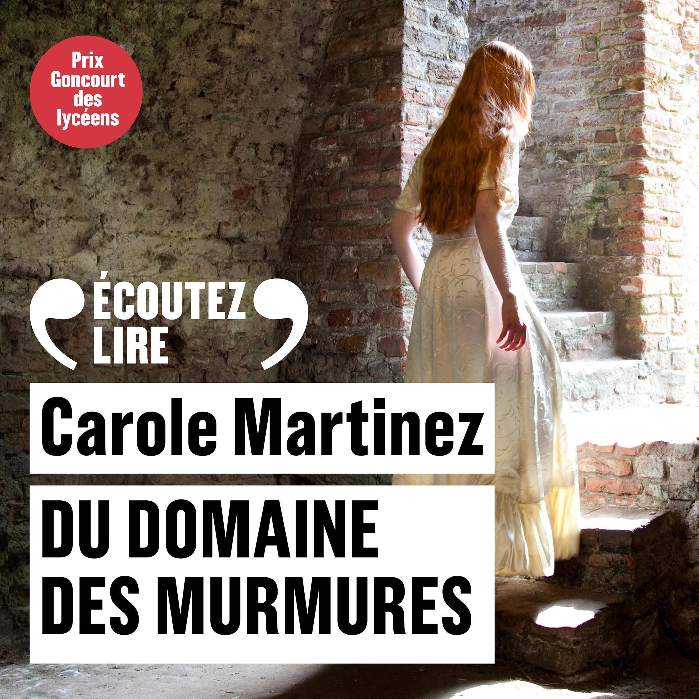 Cover art for Du domaine des murmures