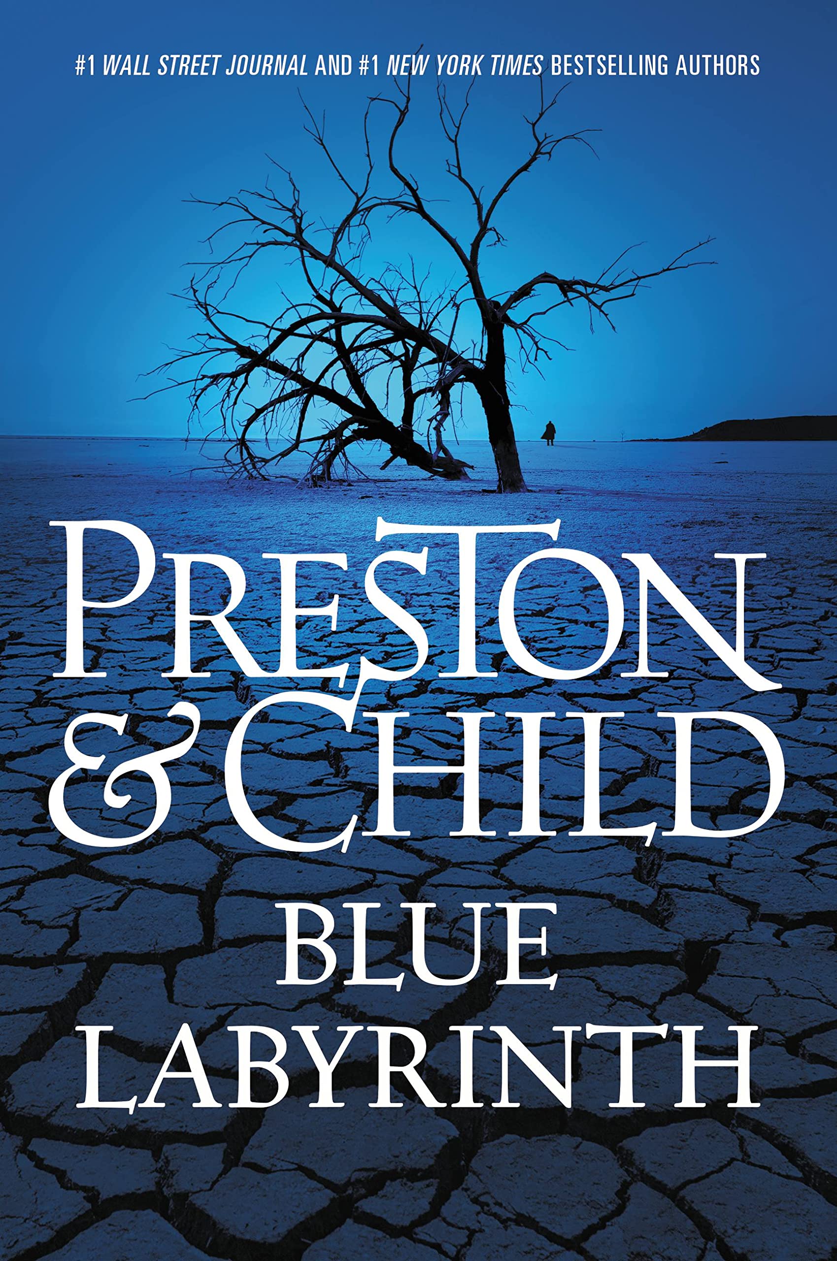 Blue Labyrinth (Agent Pendergast Series, 14)