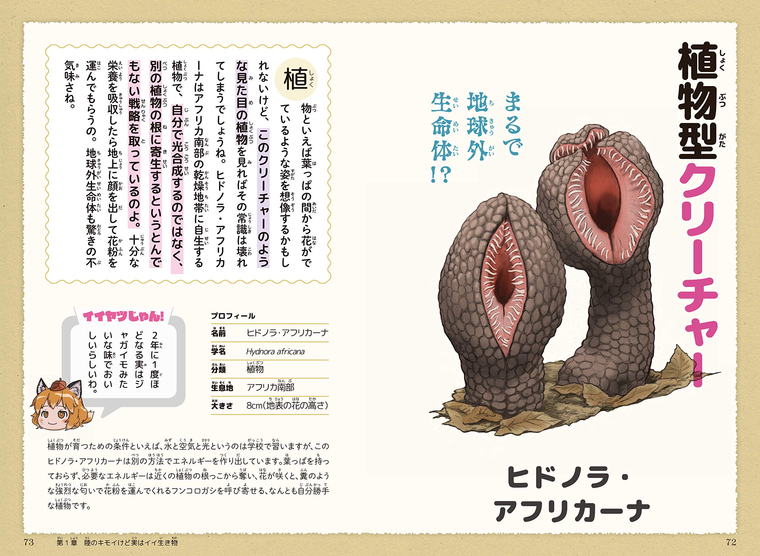 キモイけど実はイイヤツなんです 怖いのに何だかかわいく思えてきちゃう生きもの図鑑 ろう 實吉 達郎 川崎 悟司 バニえもん 配送料無料