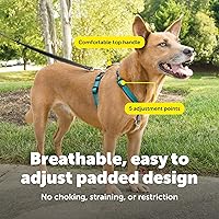 Vista 4 de PetSafe Arnés 3 en 1 – Cómodo arnés de pecho para perro fácil de caminar con accesorio de correa frontal para reducir tirones, asfixia y arcadas